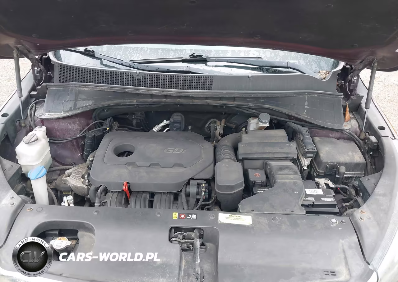 2016 Kia Sorento 2.4L Lx VIN:5XYPGDA36GG069810 - 10