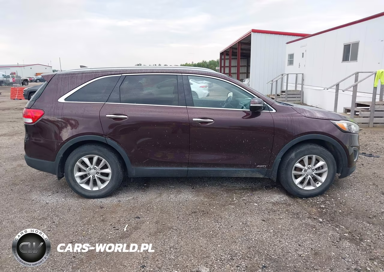 2016 Kia Sorento 2.4L Lx VIN:5XYPGDA36GG069810 - 13