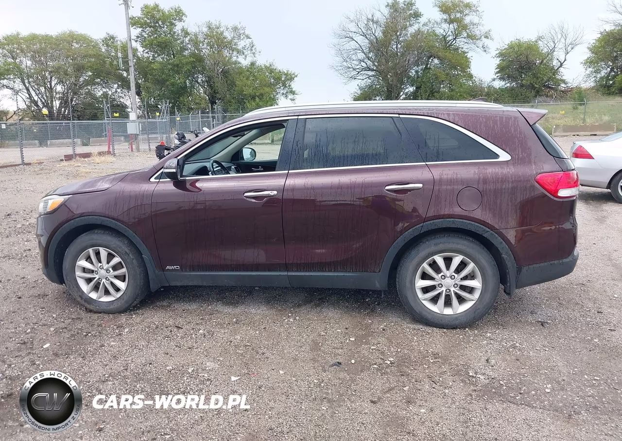 2016 Kia Sorento 2.4L Lx VIN:5XYPGDA36GG069810 - 14