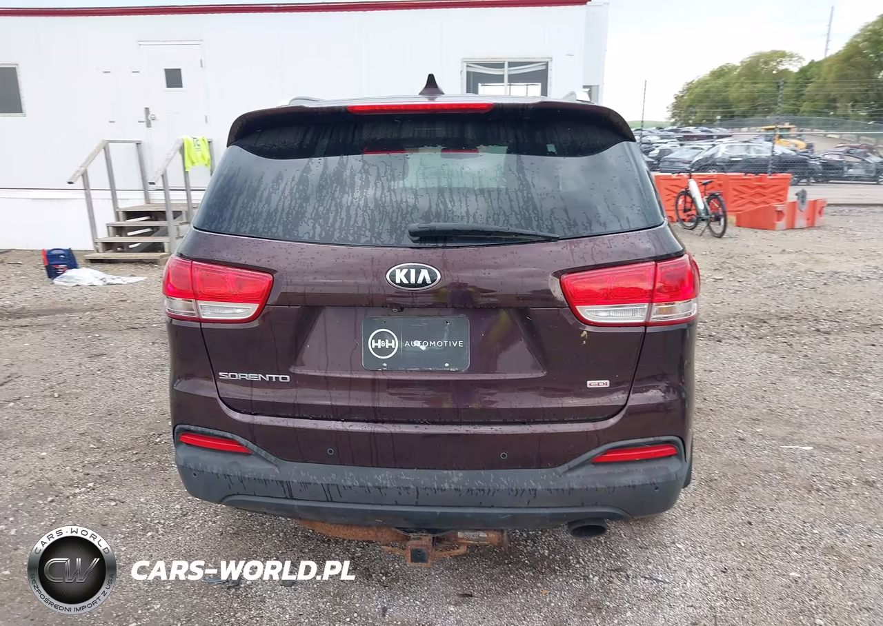 2016 Kia Sorento 2.4L Lx VIN:5XYPGDA36GG069810 - 16