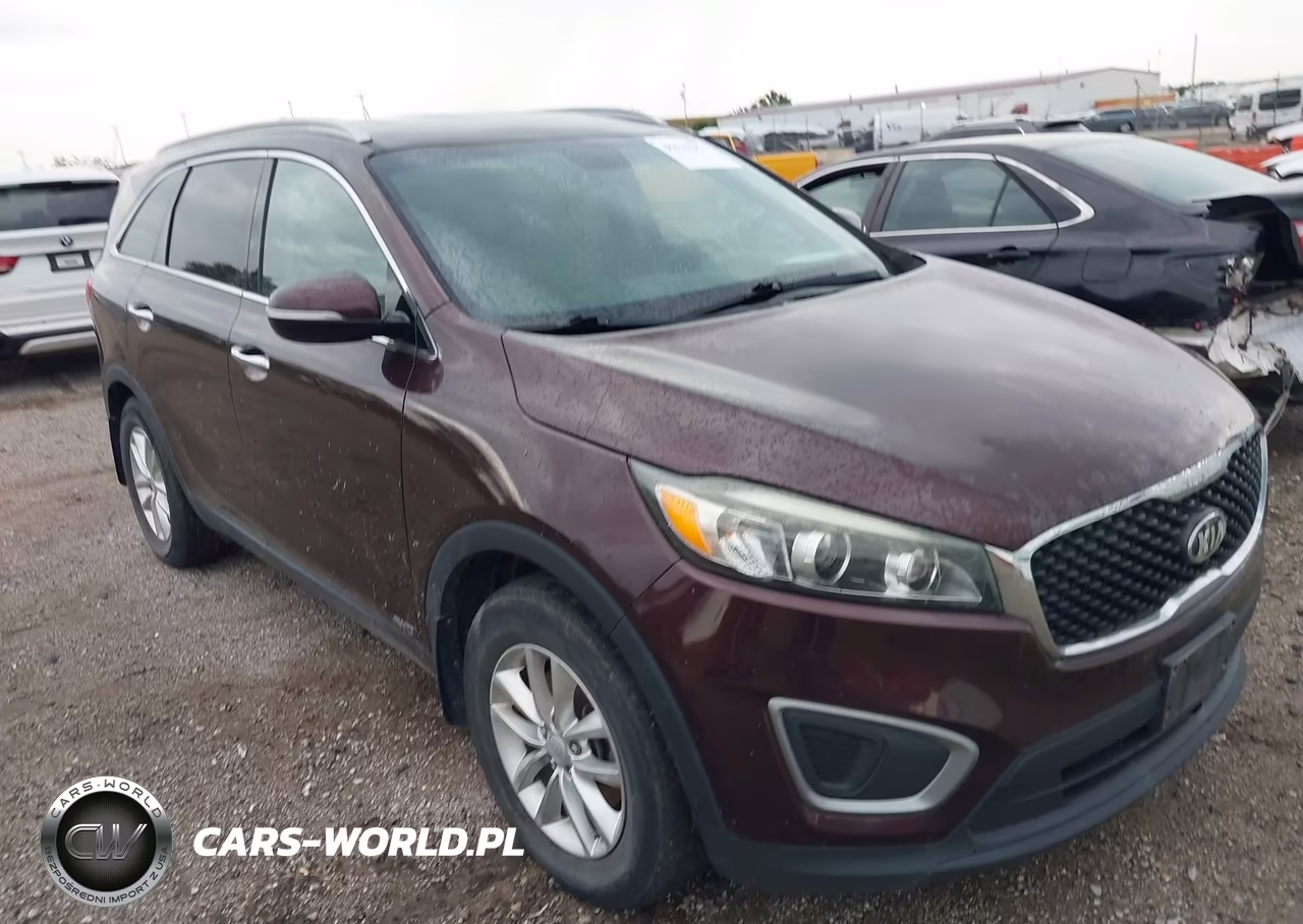 2016 Kia Sorento 2.4L Lx VIN:5XYPGDA36GG069810 - 17
