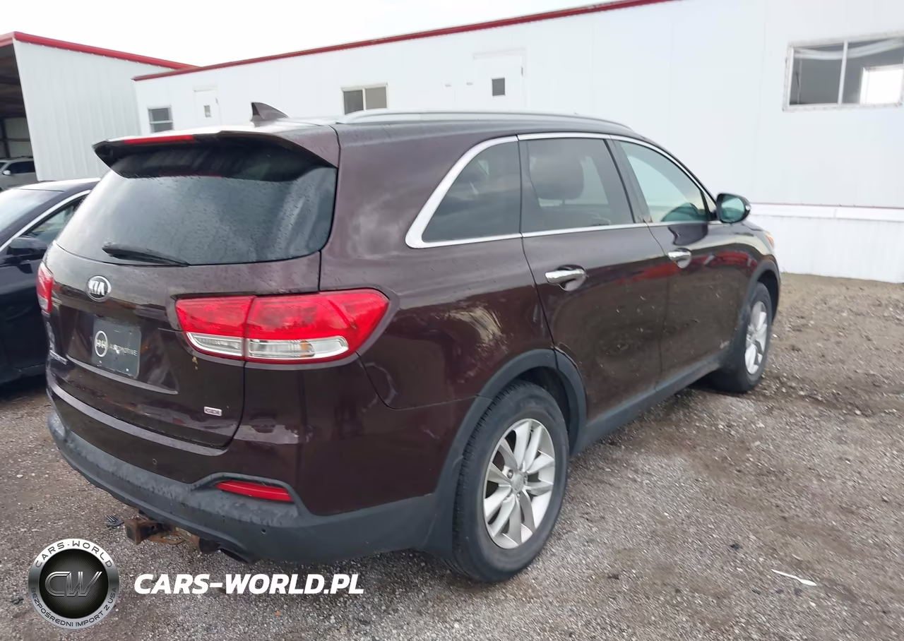 2016 Kia Sorento 2.4L Lx VIN:5XYPGDA36GG069810 - 18
