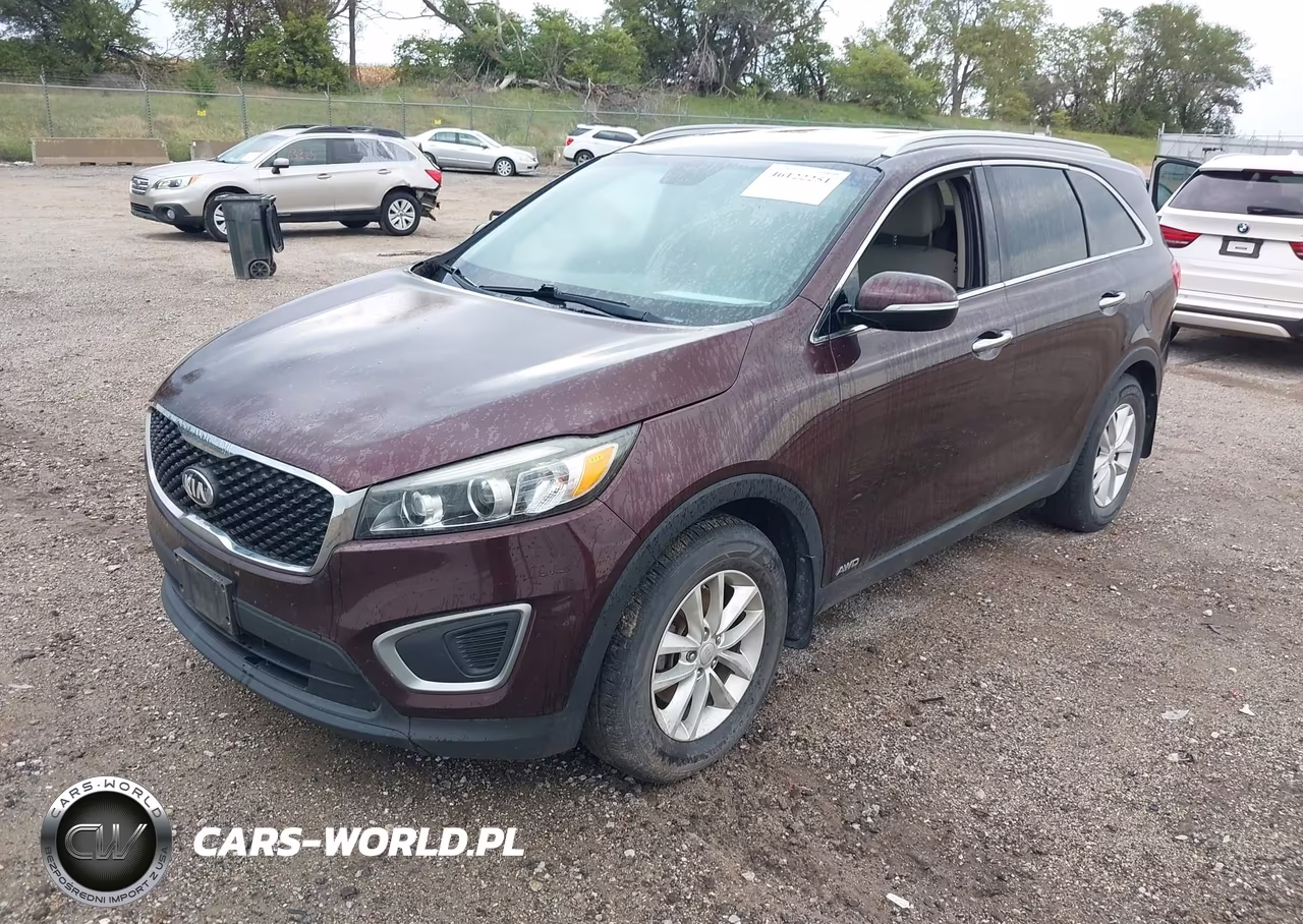 2016 Kia Sorento 2.4L Lx VIN:5XYPGDA36GG069810 - 2