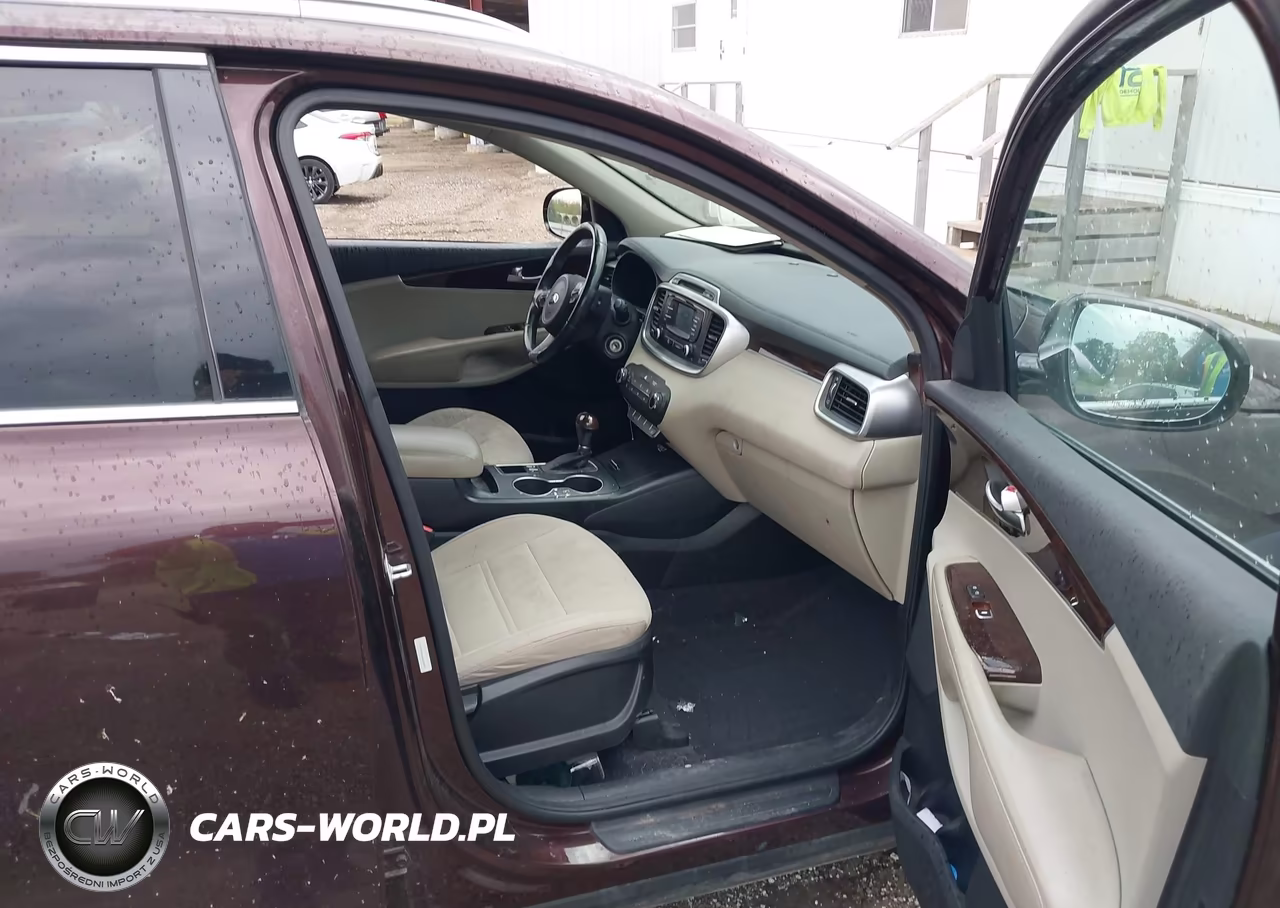 2016 Kia Sorento 2.4L Lx VIN:5XYPGDA36GG069810 - 5