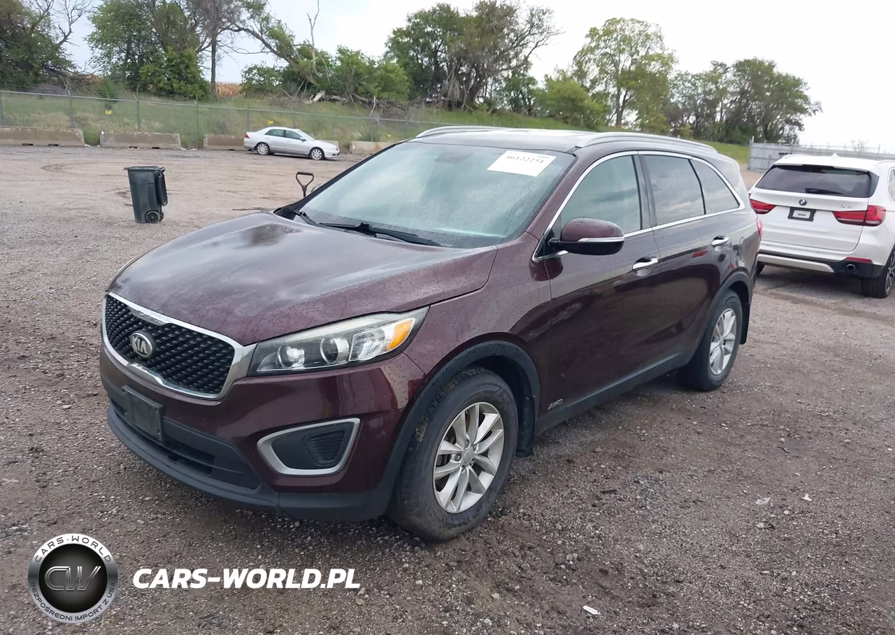 2016 Kia Sorento 2.4L Lx VIN:5XYPGDA36GG069810 - 6