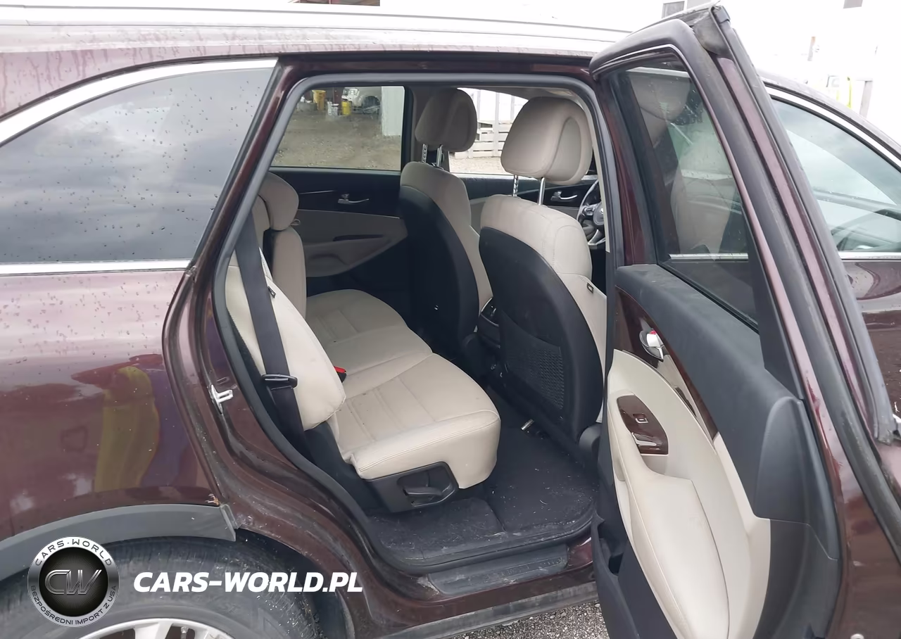 2016 Kia Sorento 2.4L Lx VIN:5XYPGDA36GG069810 - 8