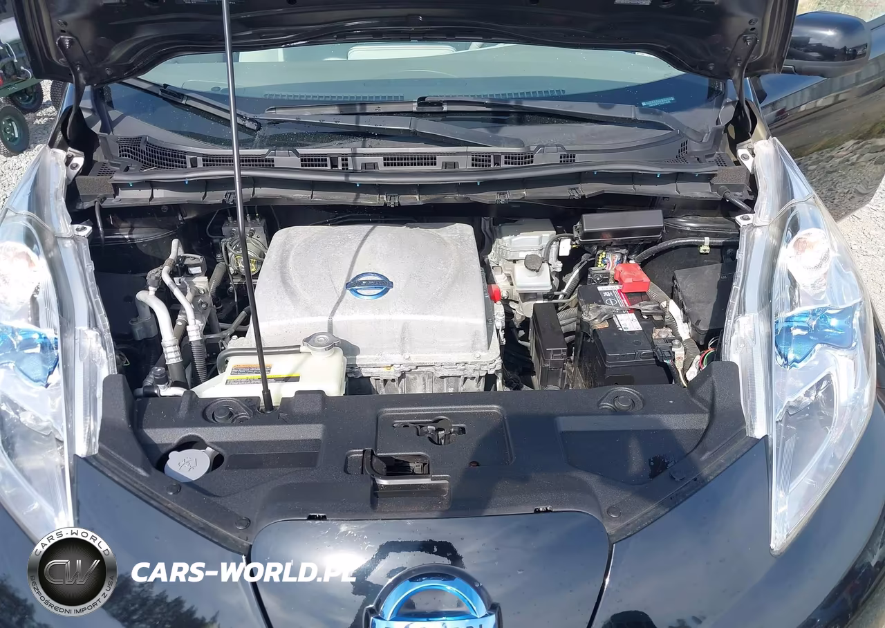 2013 Nissan Leaf S-Sv-Sl VIN:1N4AZ0CP1DC414045 - 10