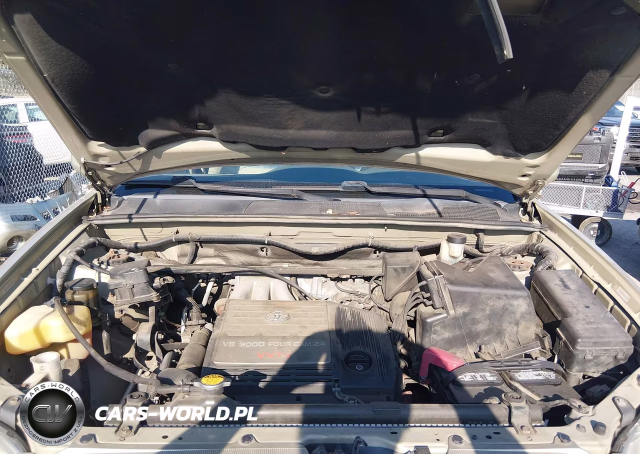2003 Toyota Highlander V6 VIN:JTEGF21A030078987 - 10