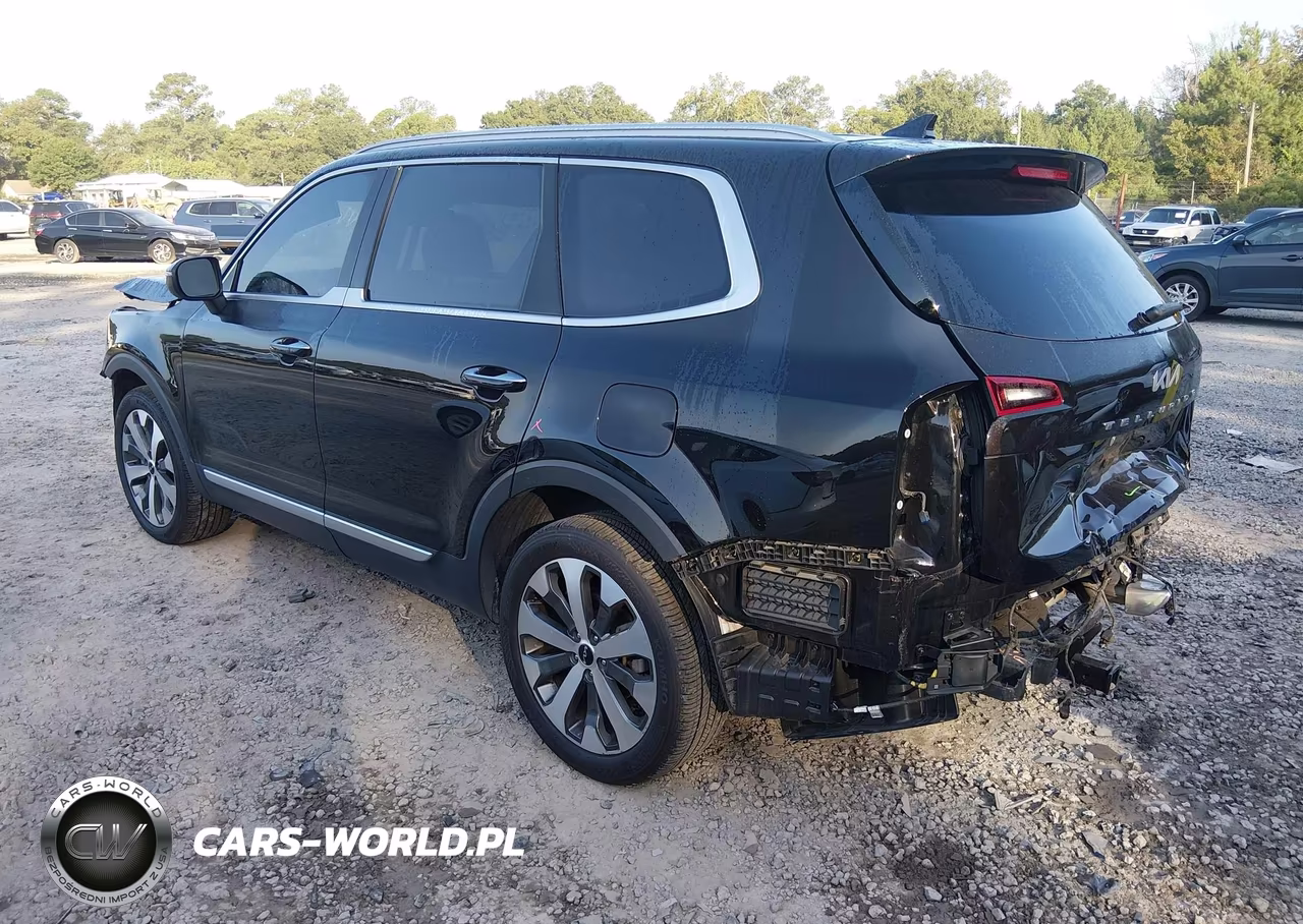 2022 Kia Telluride S VIN:5XYP64HCXNG316753 - 3