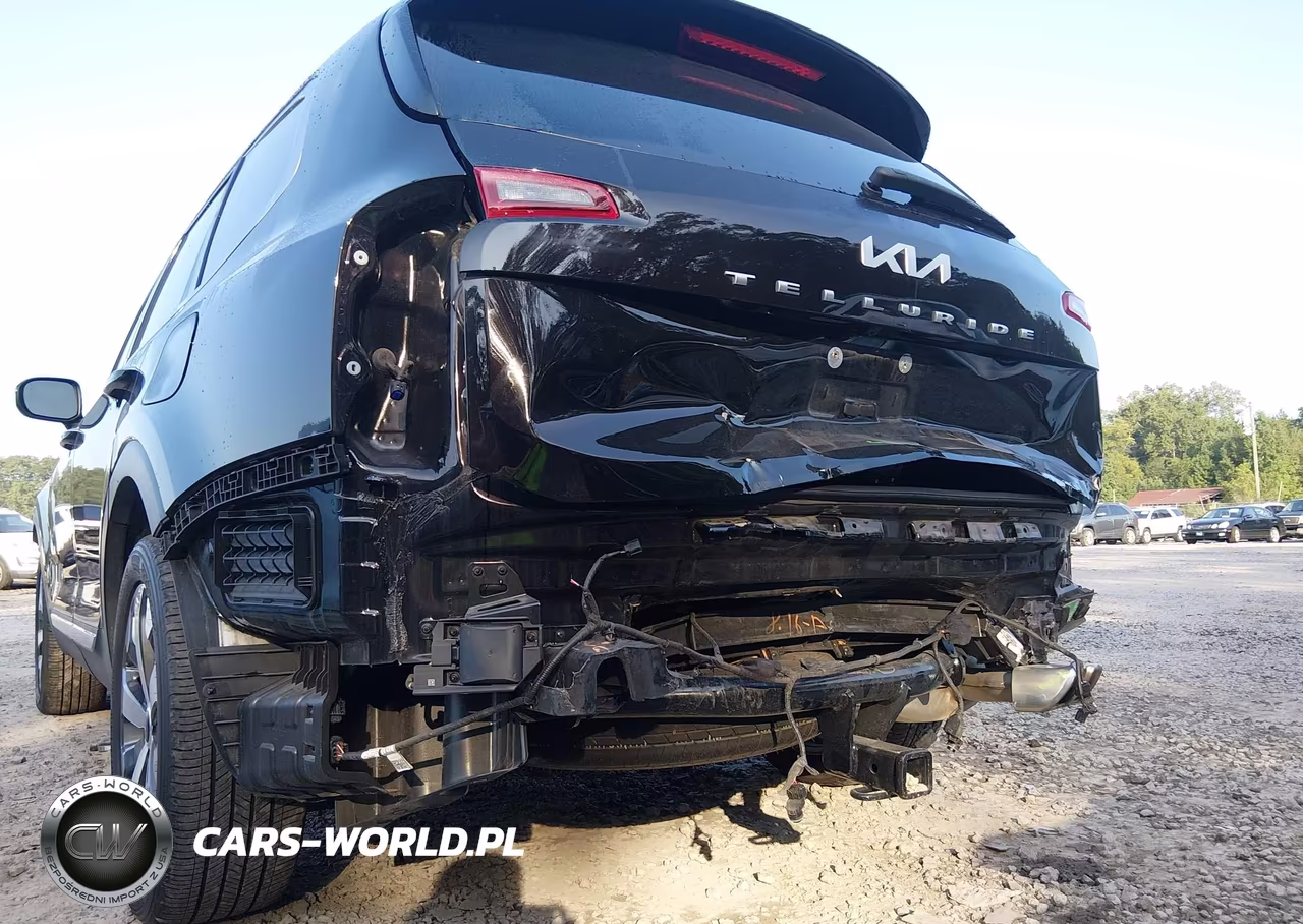 2022 Kia Telluride S VIN:5XYP64HCXNG316753 - 6