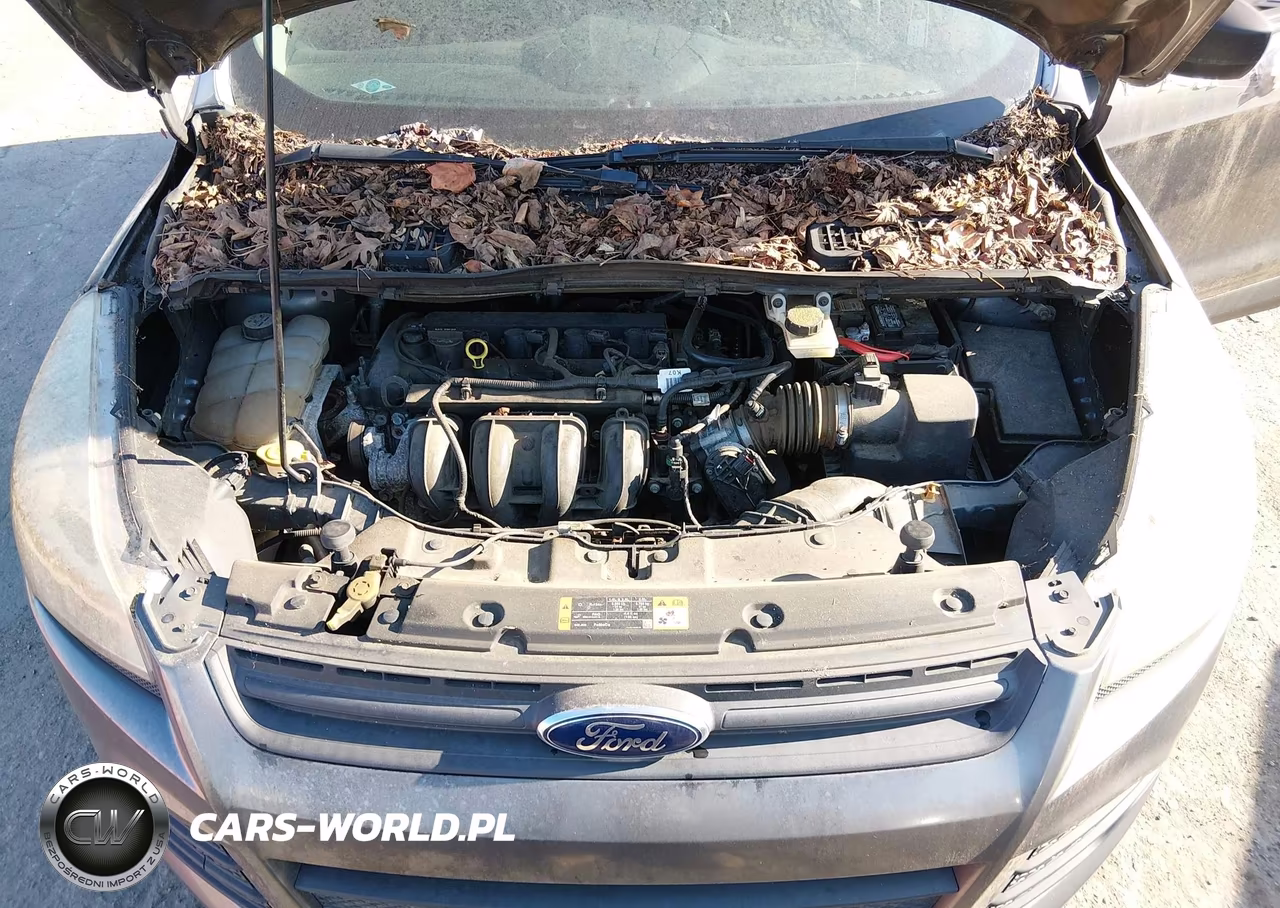 2013 Ford Escape S VIN:1FMCU0F73DUD33616 - 10