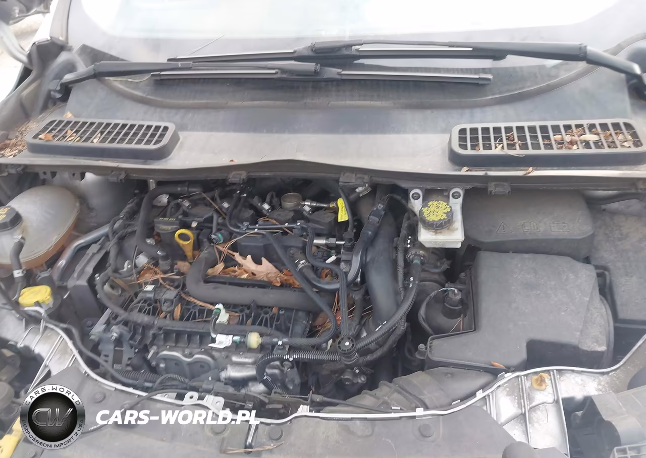 2019 Ford Escape Se VIN:1FMCU0GD5KUB19938 - 10