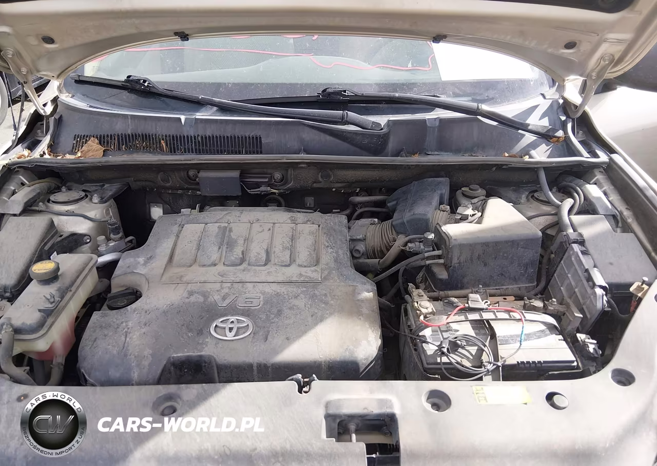 2006 Toyota Rav4 Base V6 VIN:JTMBK33V466000360 - 10