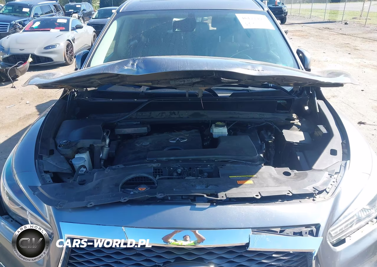 2019 Infiniti Qx60 Pure VIN:5N1DL0MM1KC568244 - 10
