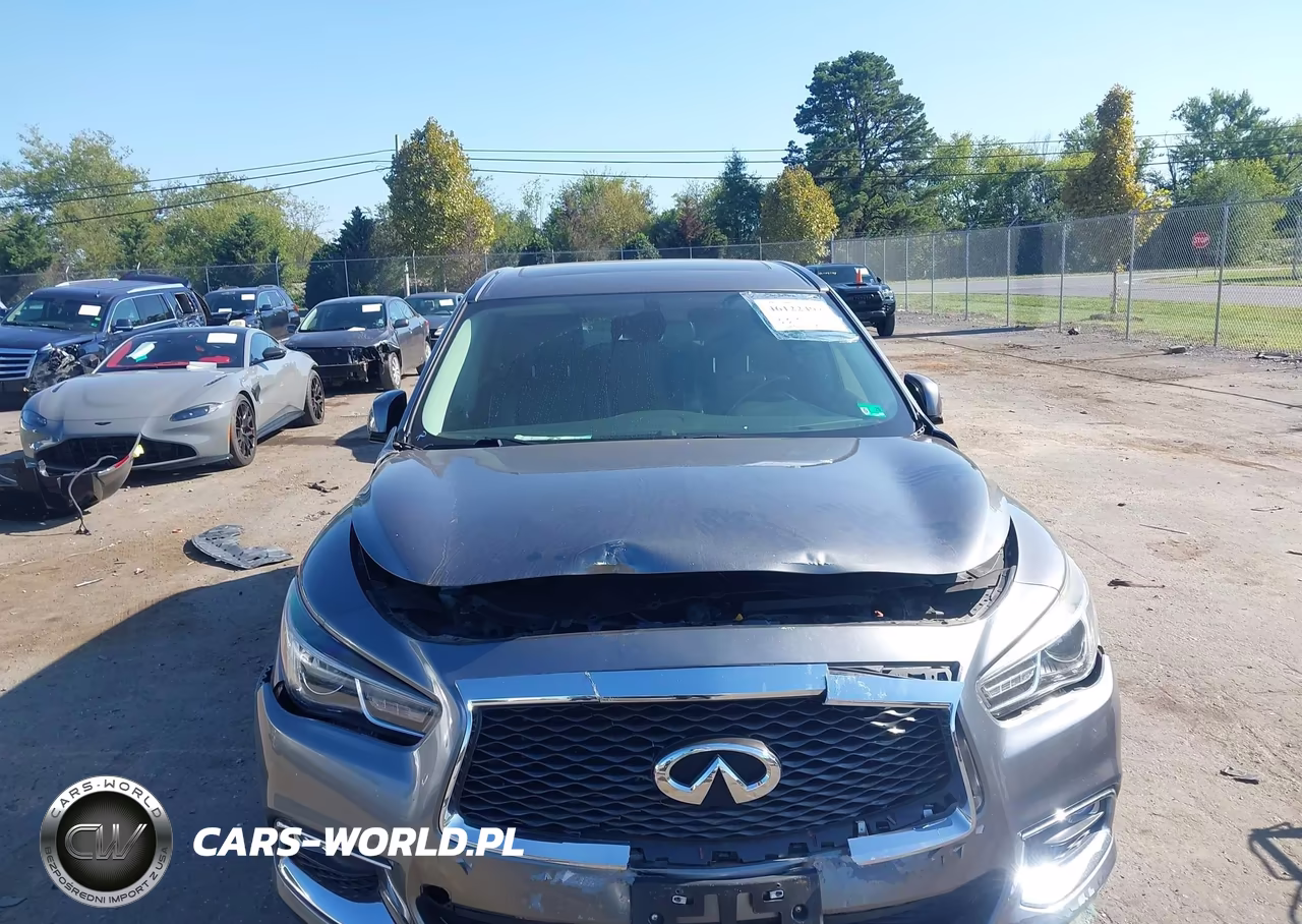 2019 Infiniti Qx60 Pure VIN:5N1DL0MM1KC568244 - 12