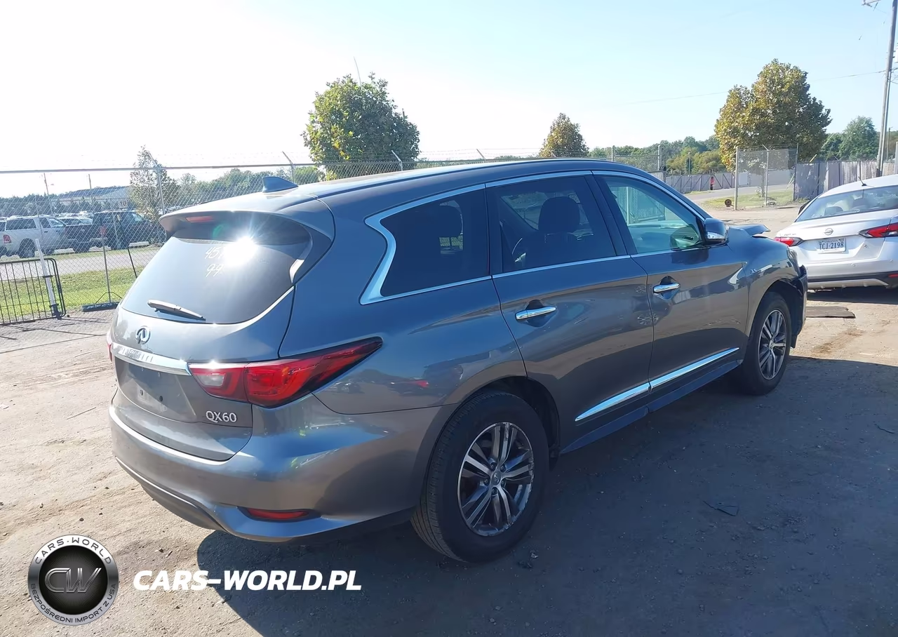 2019 Infiniti Qx60 Pure VIN:5N1DL0MM1KC568244 - 4