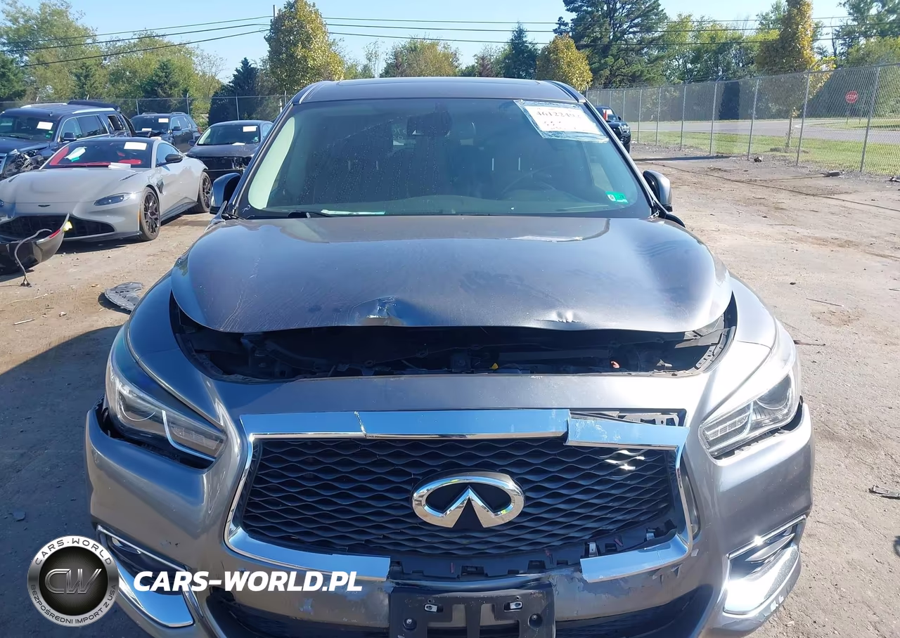 2019 Infiniti Qx60 Pure VIN:5N1DL0MM1KC568244 - 6