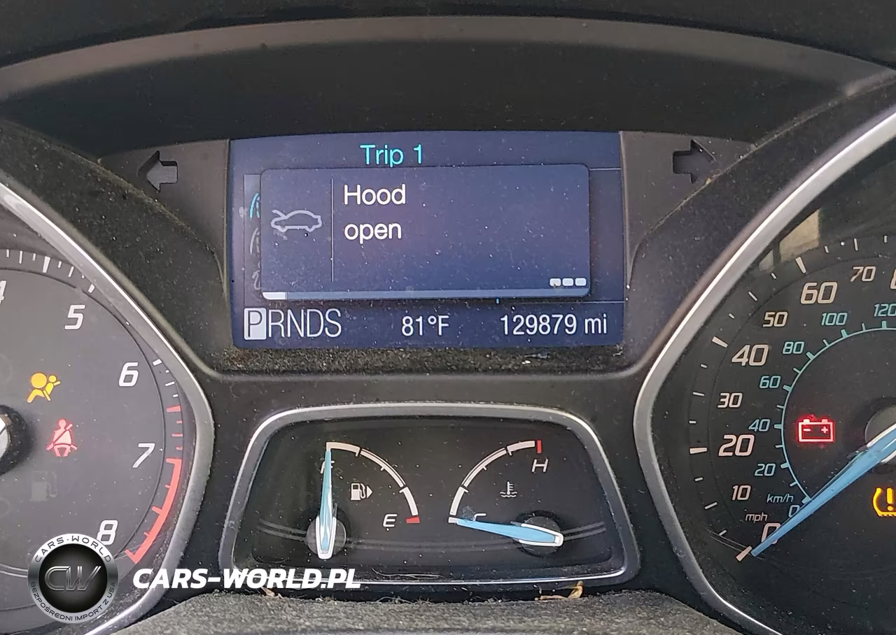 2012 Ford Focus Sel VIN:1FAHP3H29CL196163 - 16