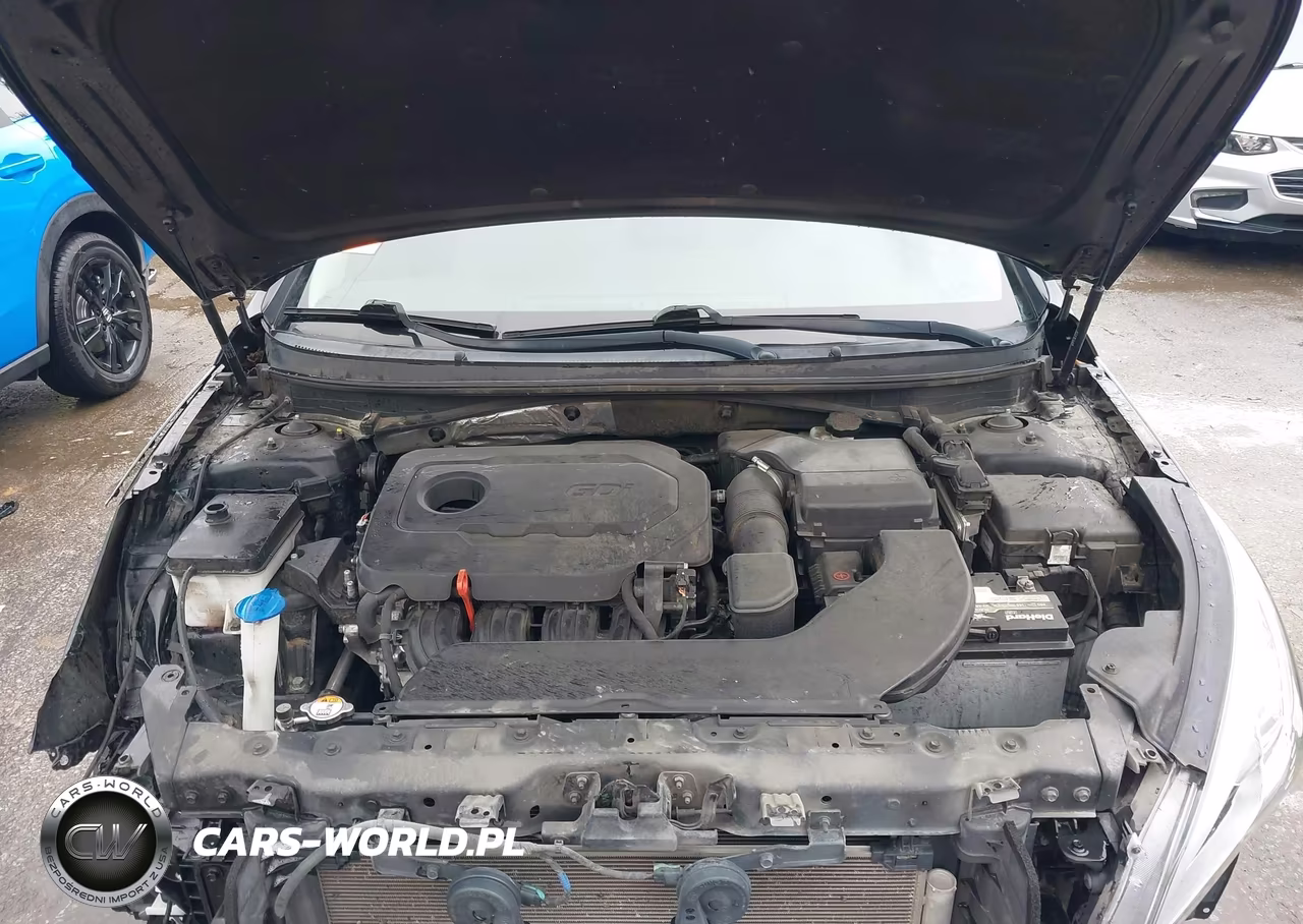 2015 Hyundai Sonata Se VIN:5NPE24AF2FH225834 - 10