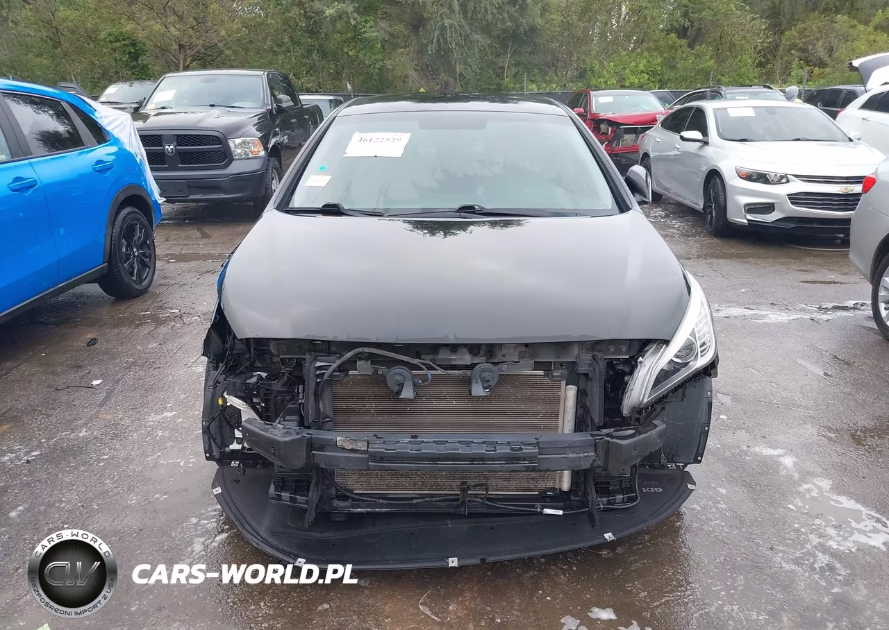 2015 Hyundai Sonata Se VIN:5NPE24AF2FH225834 - 13