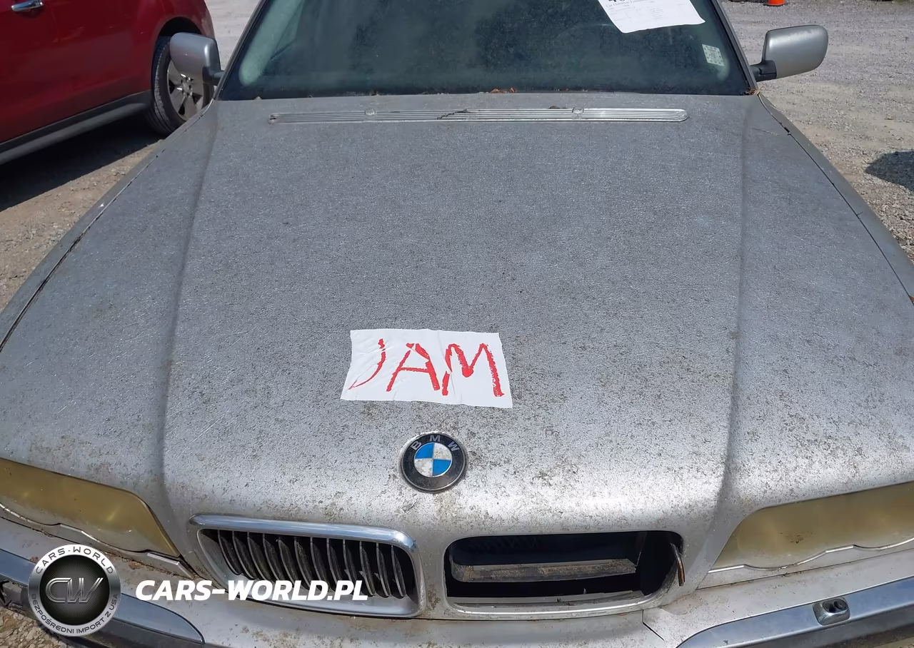 2000 BMW 740Il VIN:WBAGH8347YDP13578 - 10