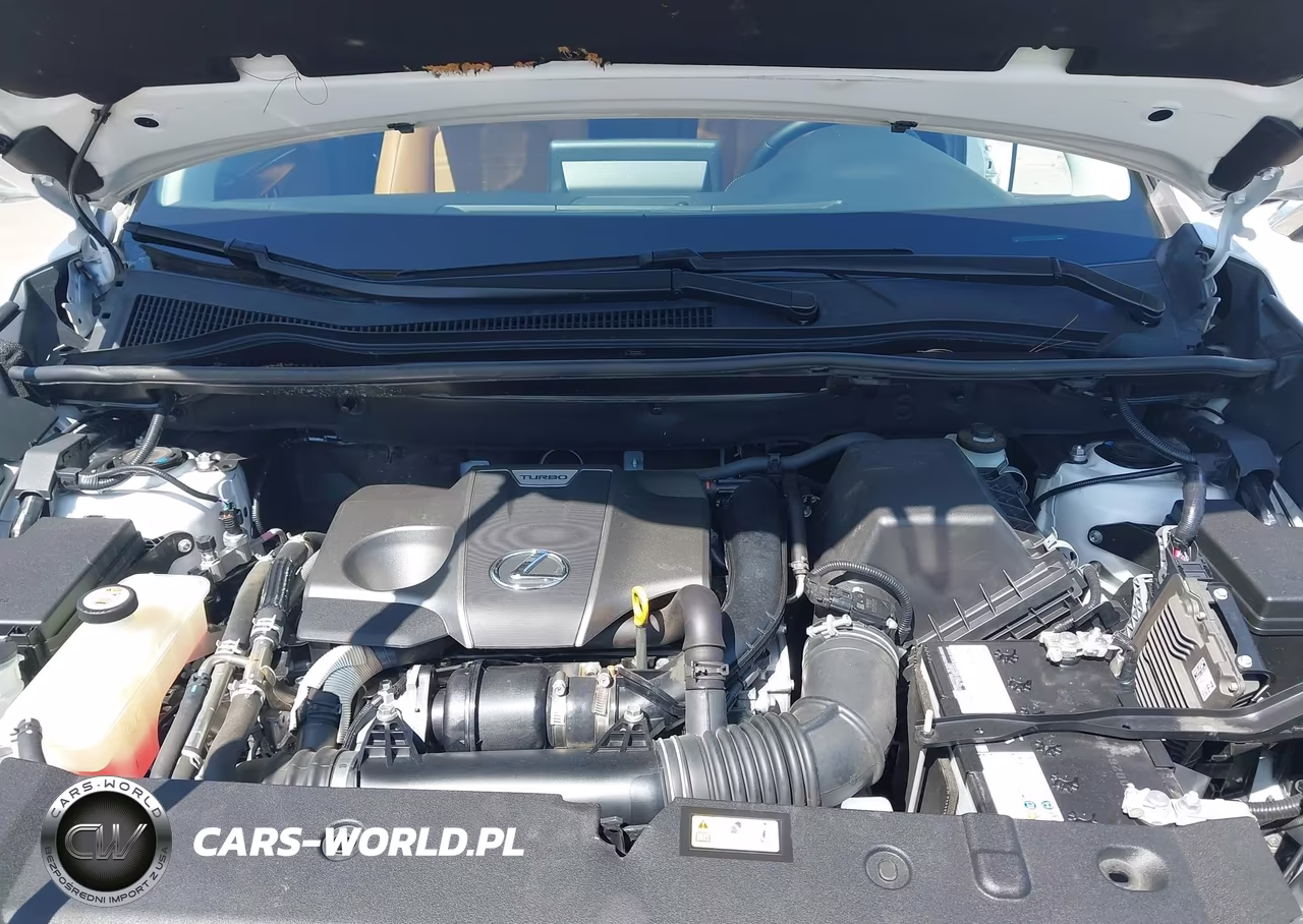 2021 Lexus Nx 300 VIN:JTJDARDZ2M5029906 - 10