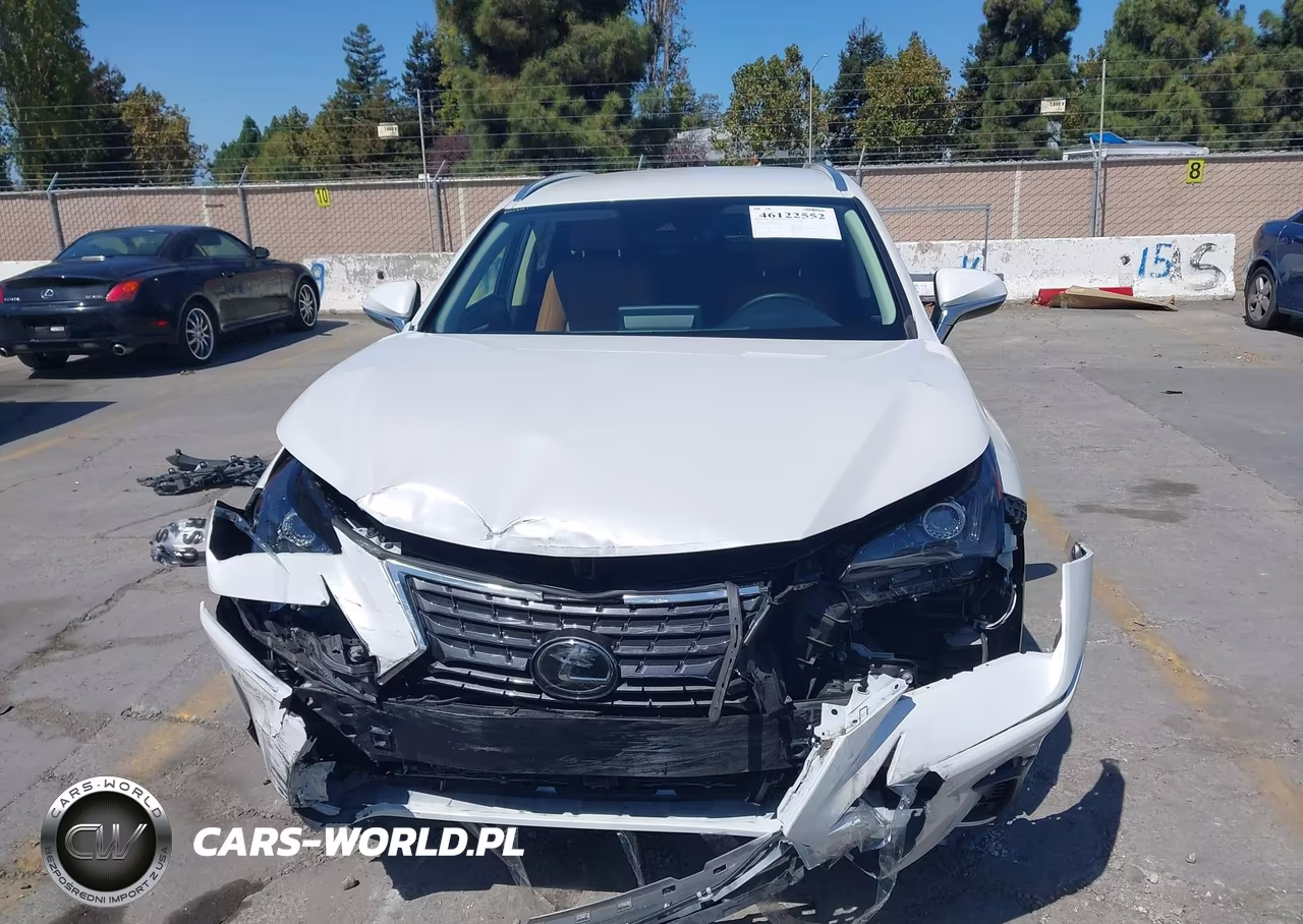 2021 Lexus Nx 300 VIN:JTJDARDZ2M5029906 - 13