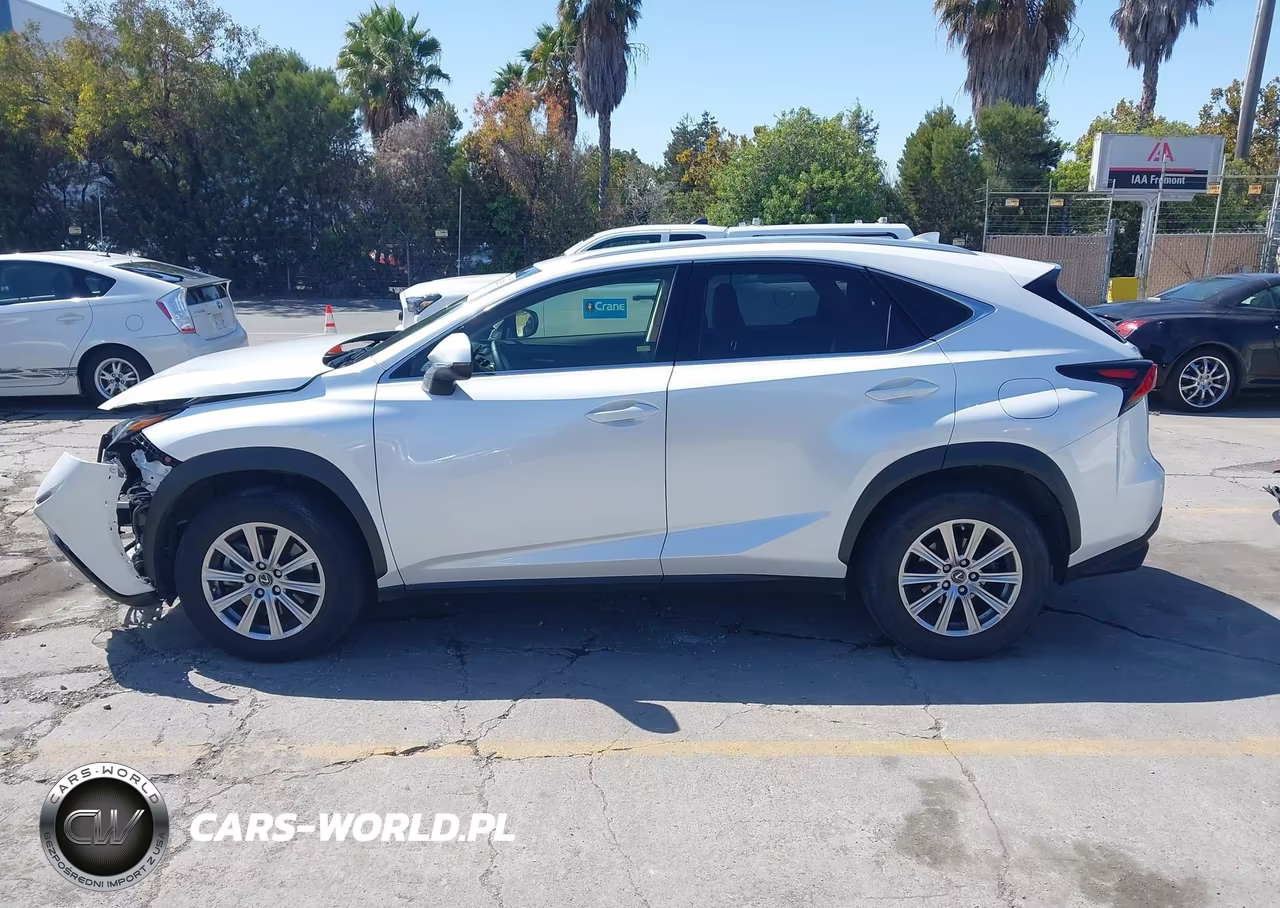 2021 Lexus Nx 300 VIN:JTJDARDZ2M5029906 - 15