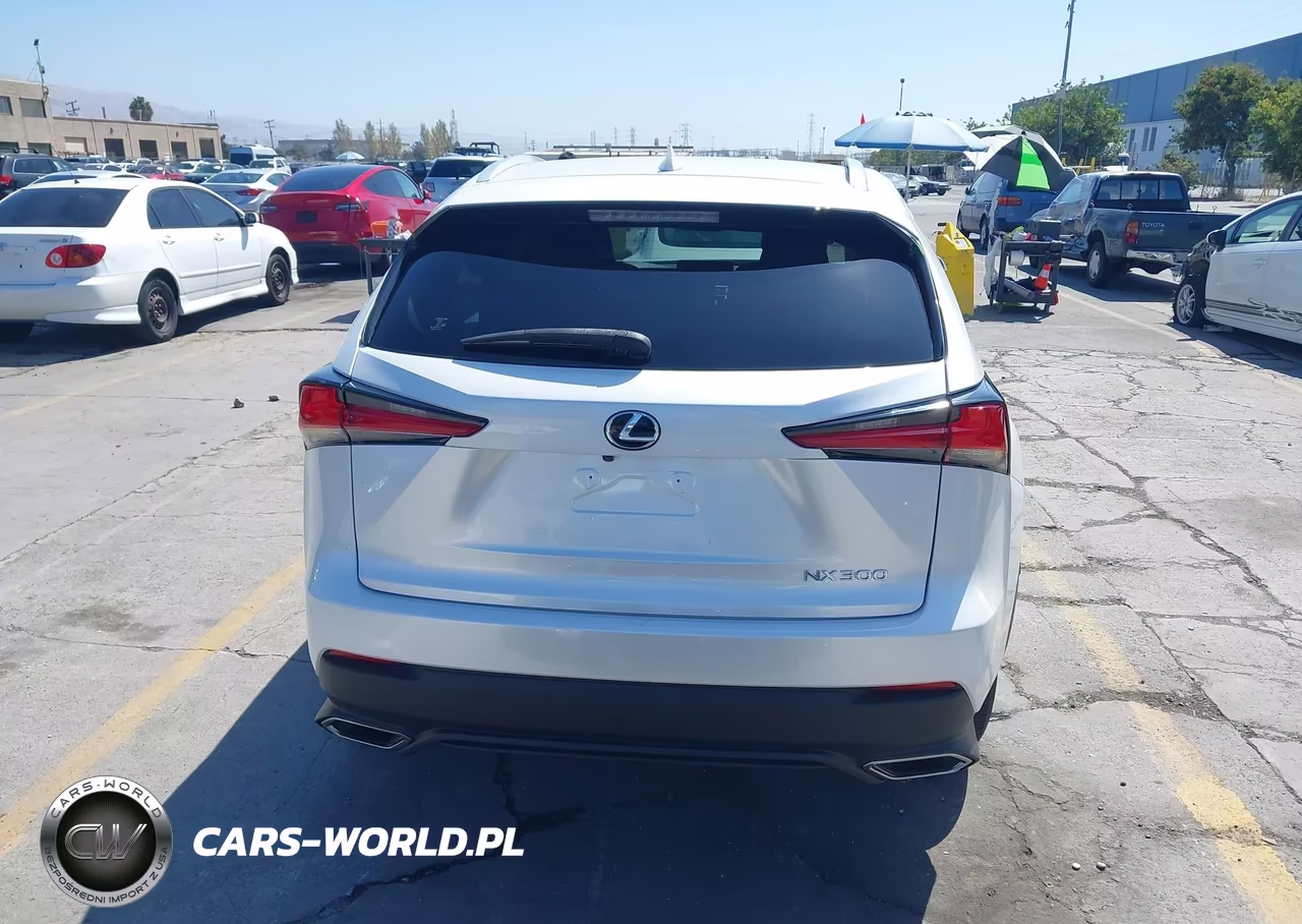2021 Lexus Nx 300 VIN:JTJDARDZ2M5029906 - 17