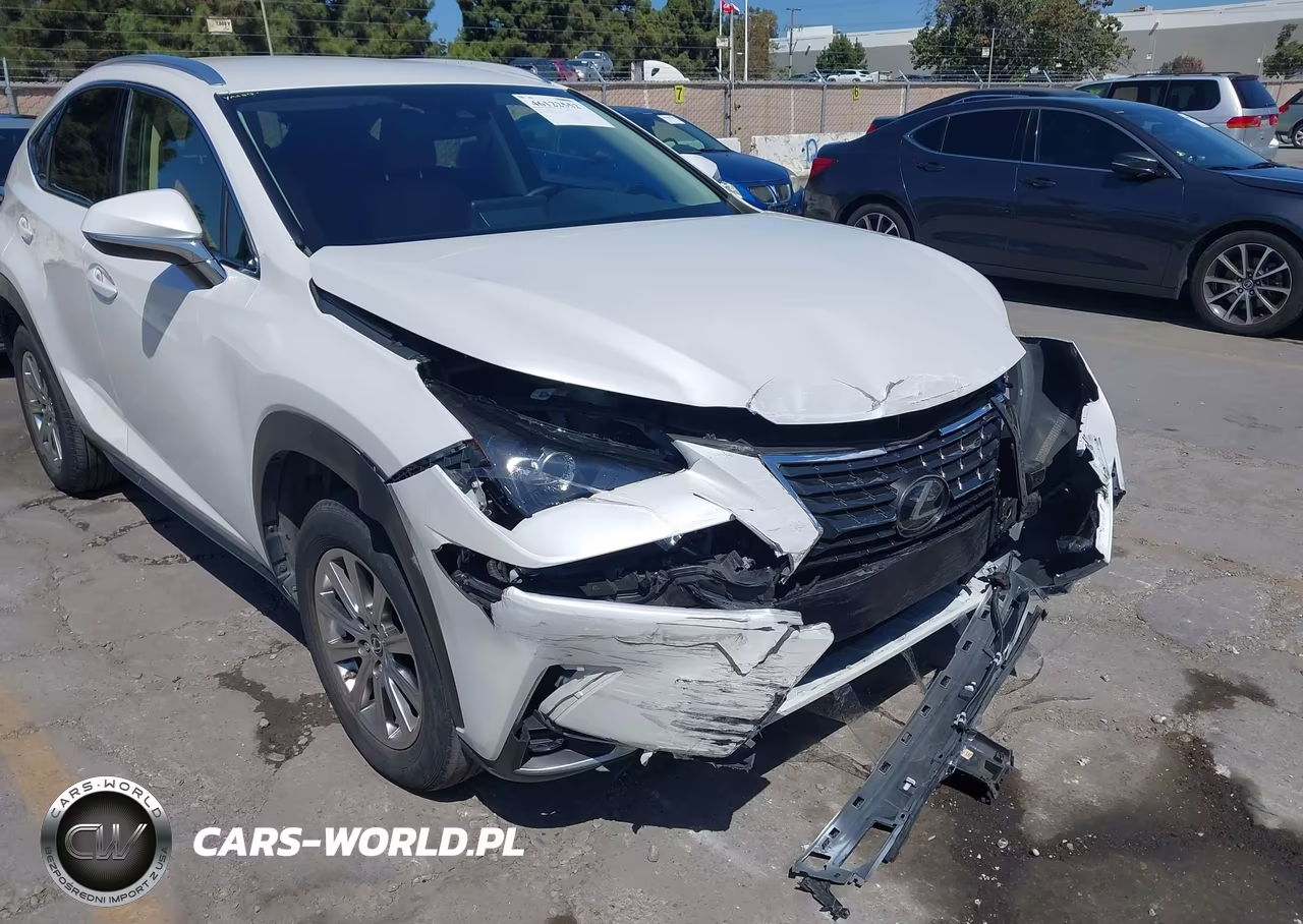 2021 Lexus Nx 300 VIN:JTJDARDZ2M5029906 - 18