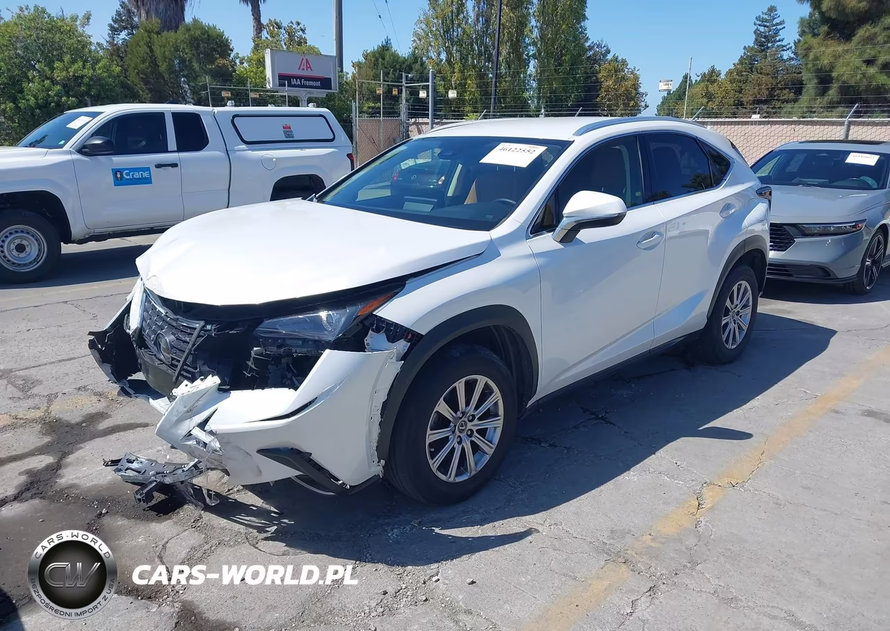 2021 Lexus Nx 300 VIN:JTJDARDZ2M5029906 - 2