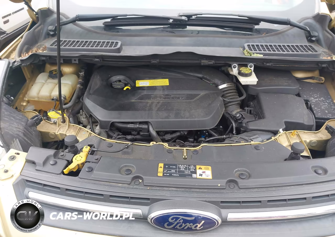 2014 Ford Escape Se VIN:1FMCU0GX8EUC18624 - 10