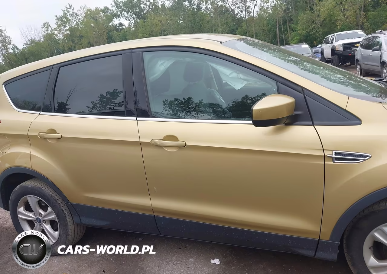 2014 Ford Escape Se VIN:1FMCU0GX8EUC18624 - 13