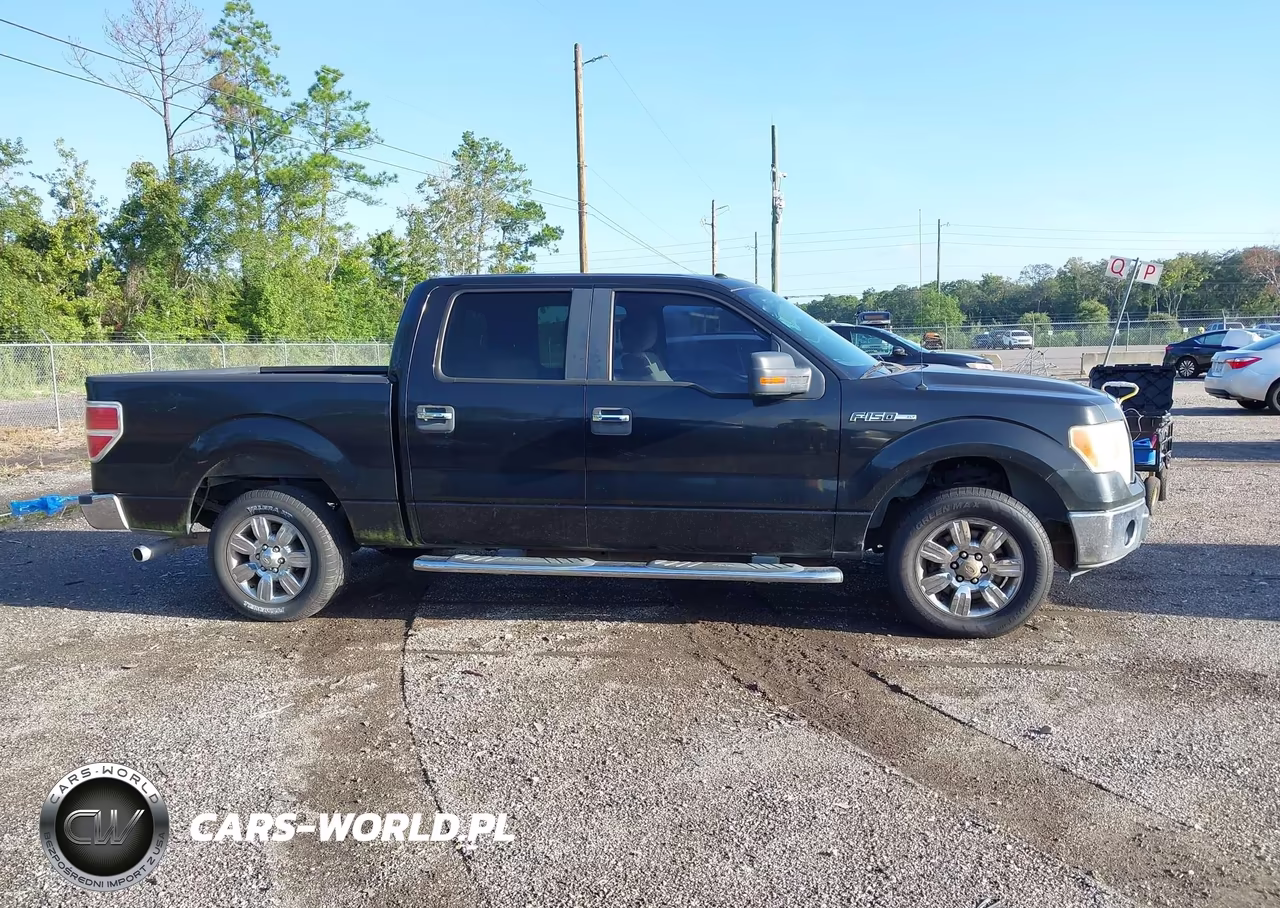 2011 Ford F-150 Xlt VIN:1FTFW1CF3BFA33945 - 13