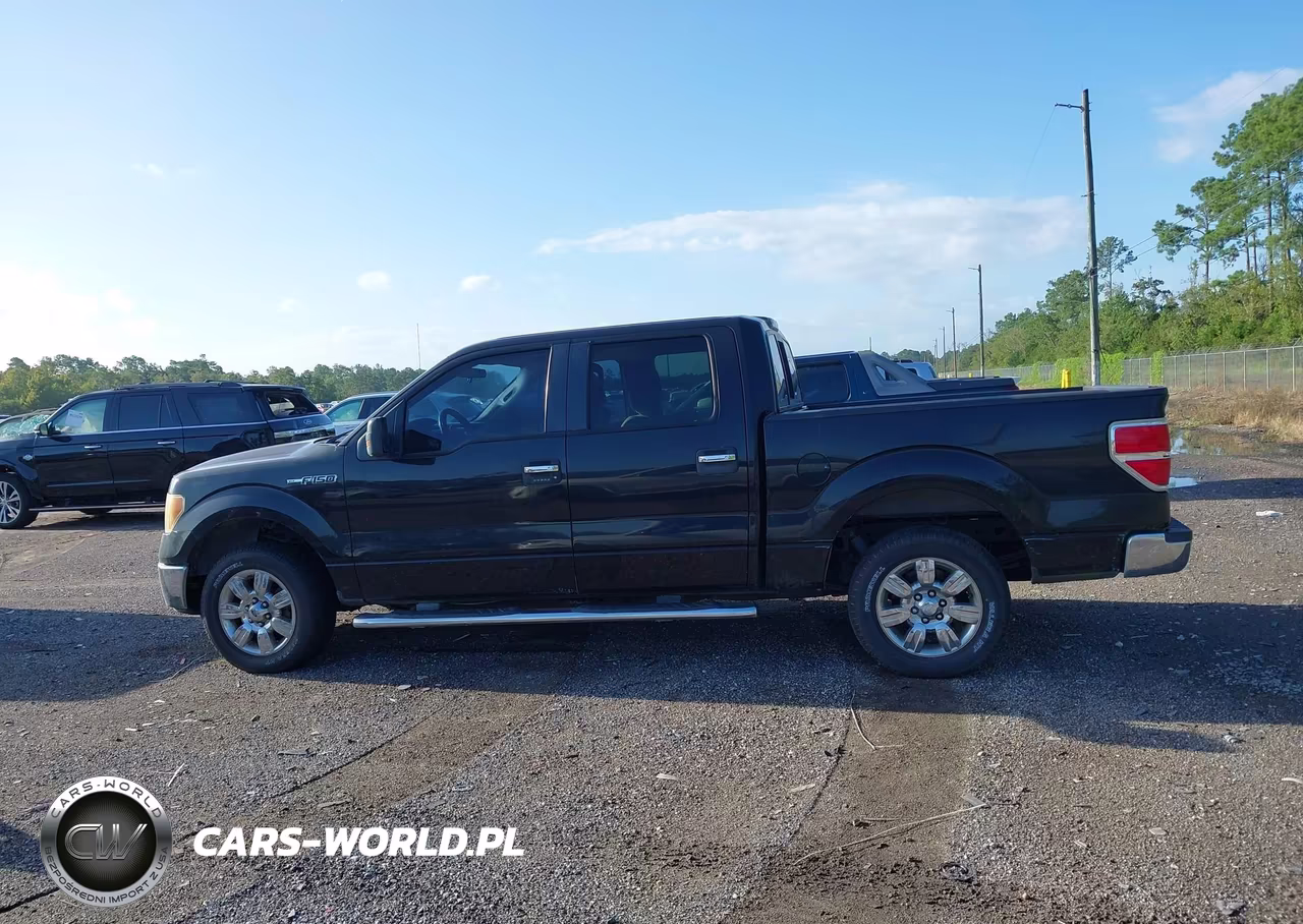 2011 Ford F-150 Xlt VIN:1FTFW1CF3BFA33945 - 14