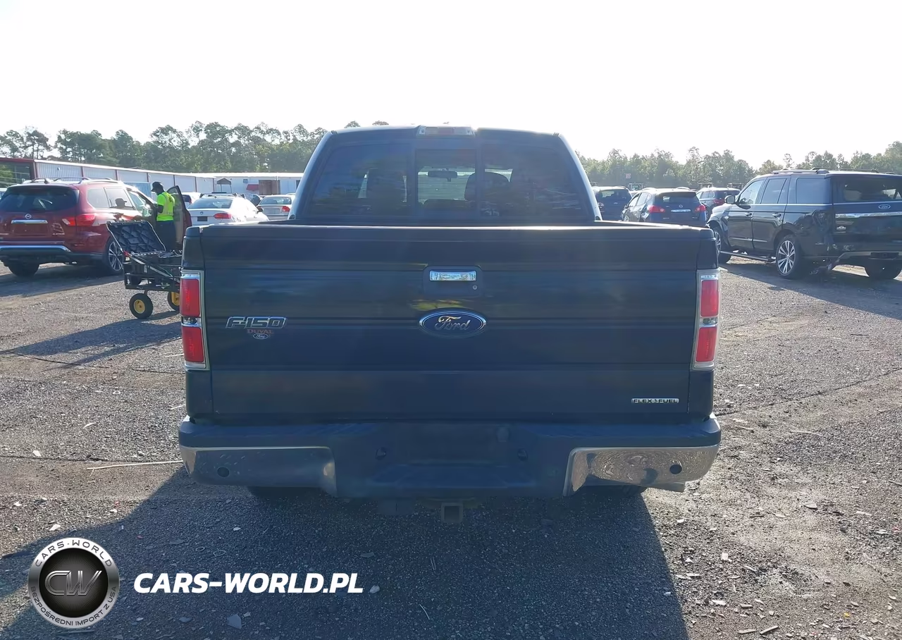 2011 Ford F-150 Xlt VIN:1FTFW1CF3BFA33945 - 16