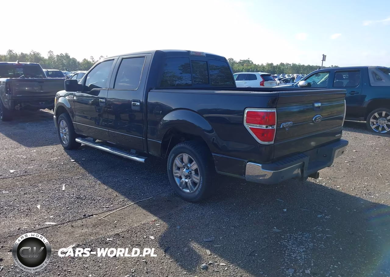 2011 Ford F-150 Xlt VIN:1FTFW1CF3BFA33945 - 3