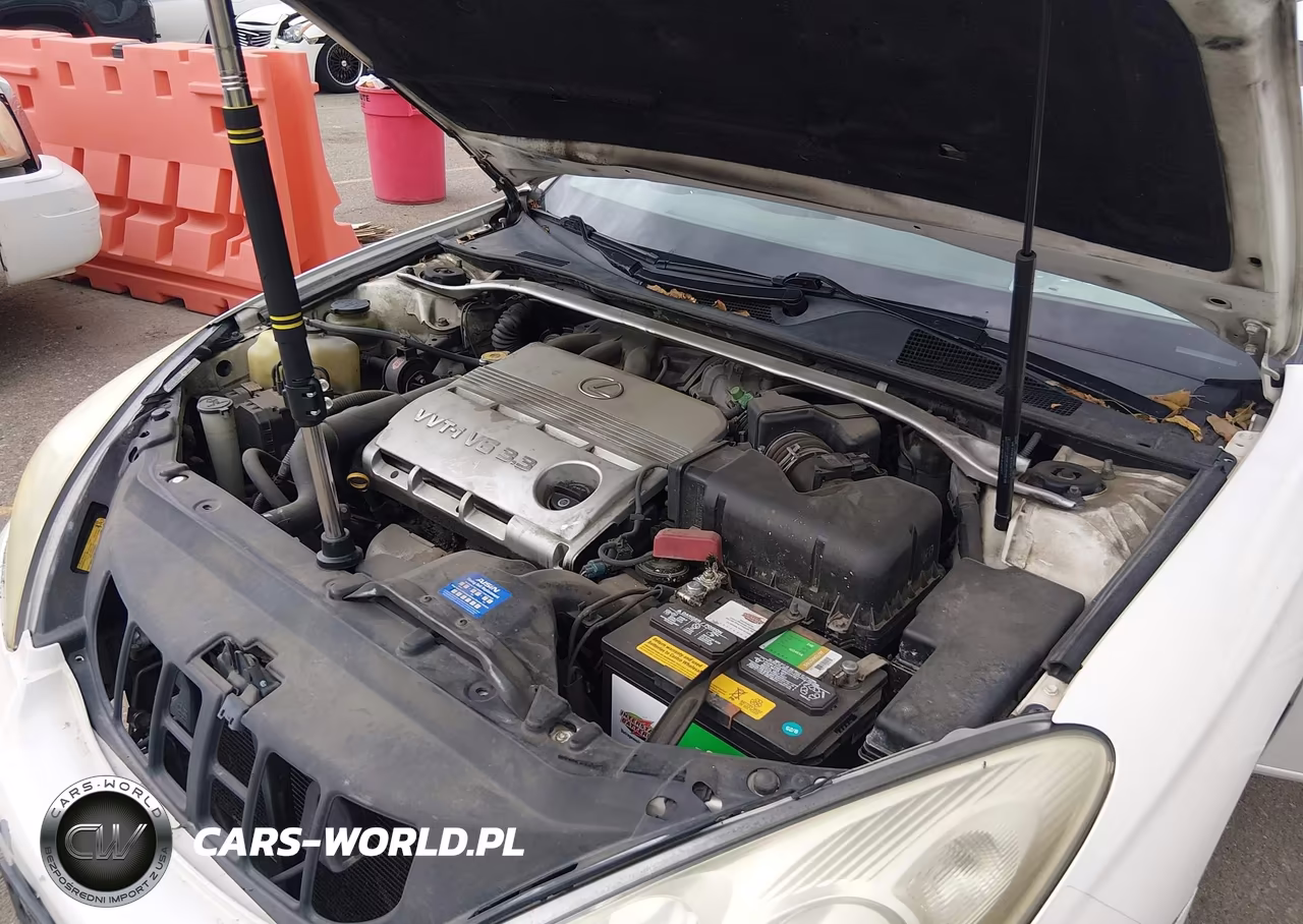 2005 Lexus Es 330 VIN:JTHBA30G955061635 - 10