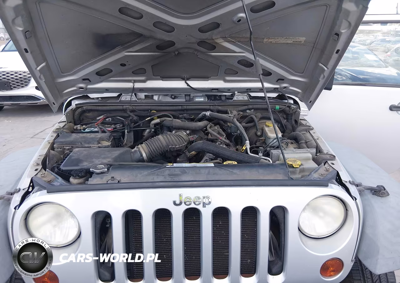 2011 Jeep Wrangler Sport VIN:1J4AA2D15BL528810 - 10