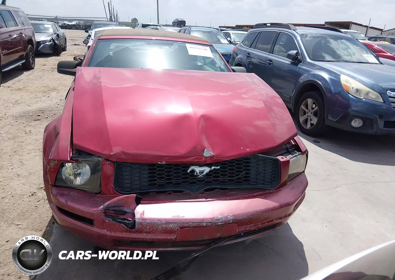 2007 Ford Mustang V6 Deluxe-V6 Premium VIN:1ZVFT84N875276345 - 12