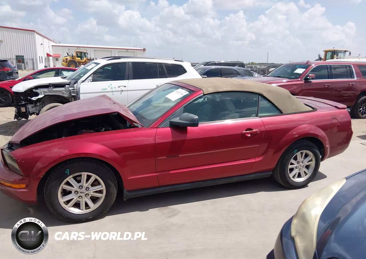 2007 Ford Mustang V6 Deluxe-V6 Premium VIN:1ZVFT84N875276345 - 14