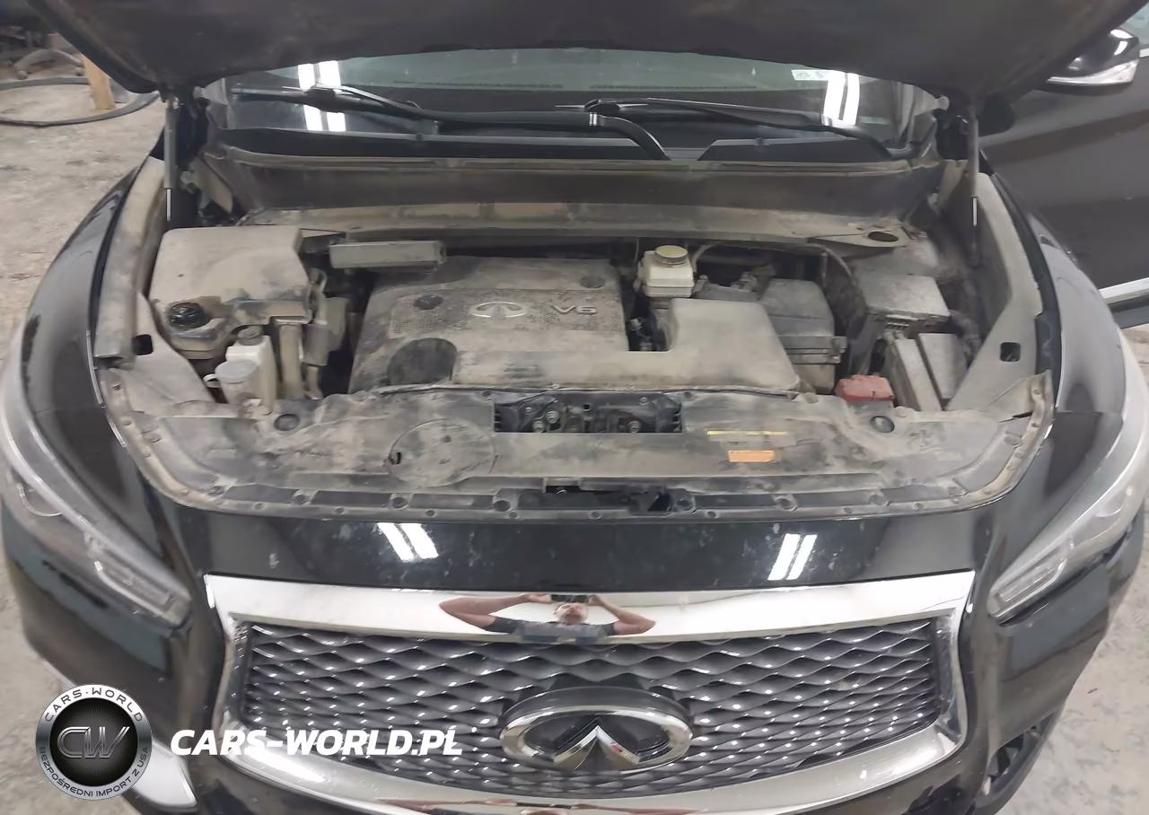 2016 Infiniti Qx60 VIN:5N1AL0MM3GC507536 - 10