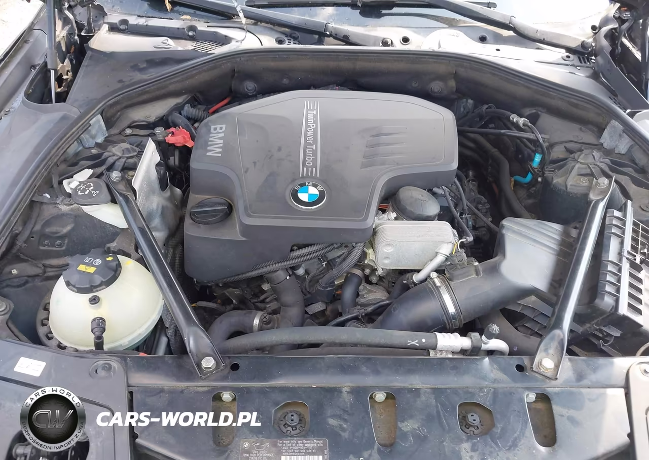 2015 BMW 528I xDrive VIN:WBA5A7C58FD624064 - 10
