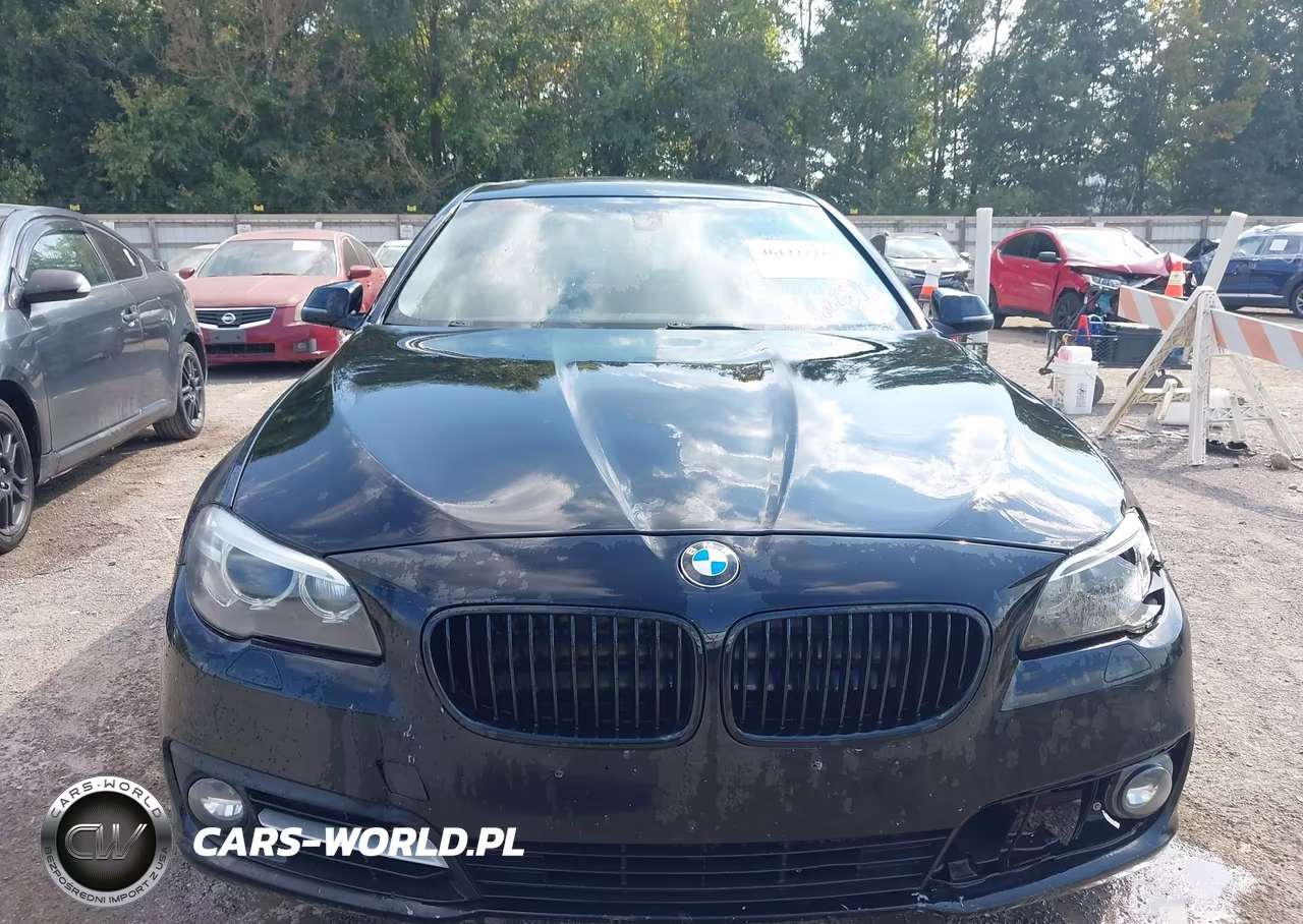 2015 BMW 528I xDrive VIN:WBA5A7C58FD624064 - 12
