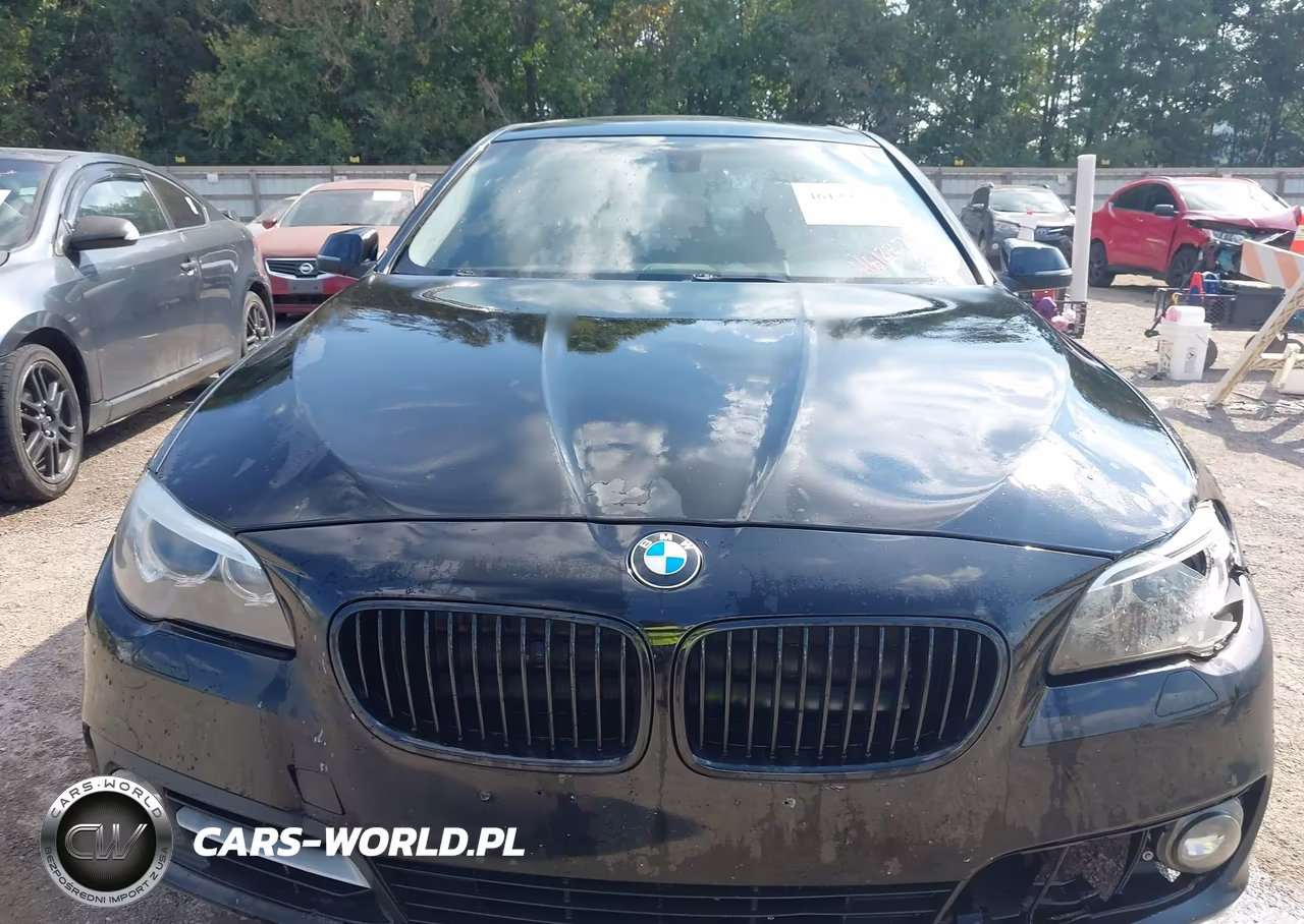 2015 BMW 528I xDrive VIN:WBA5A7C58FD624064 - 6