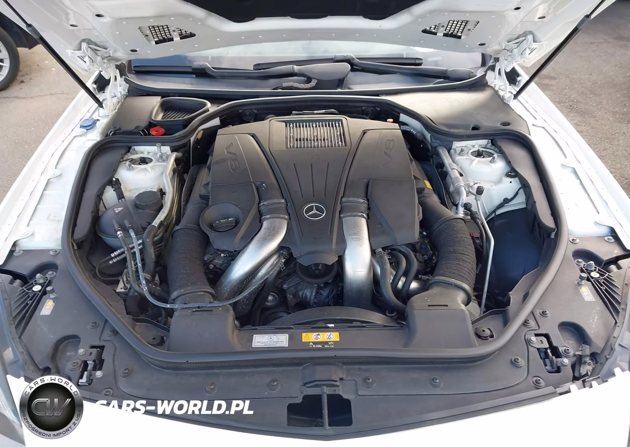 2014 Mercedes-Benz Sl 550 VIN:WDDJK7DA0EF024545 - 10