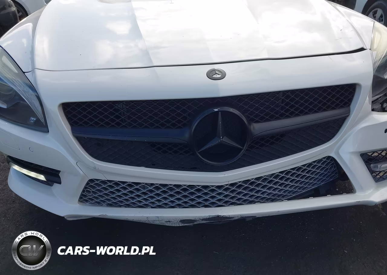 2014 Mercedes-Benz Sl 550 VIN:WDDJK7DA0EF024545 - 12