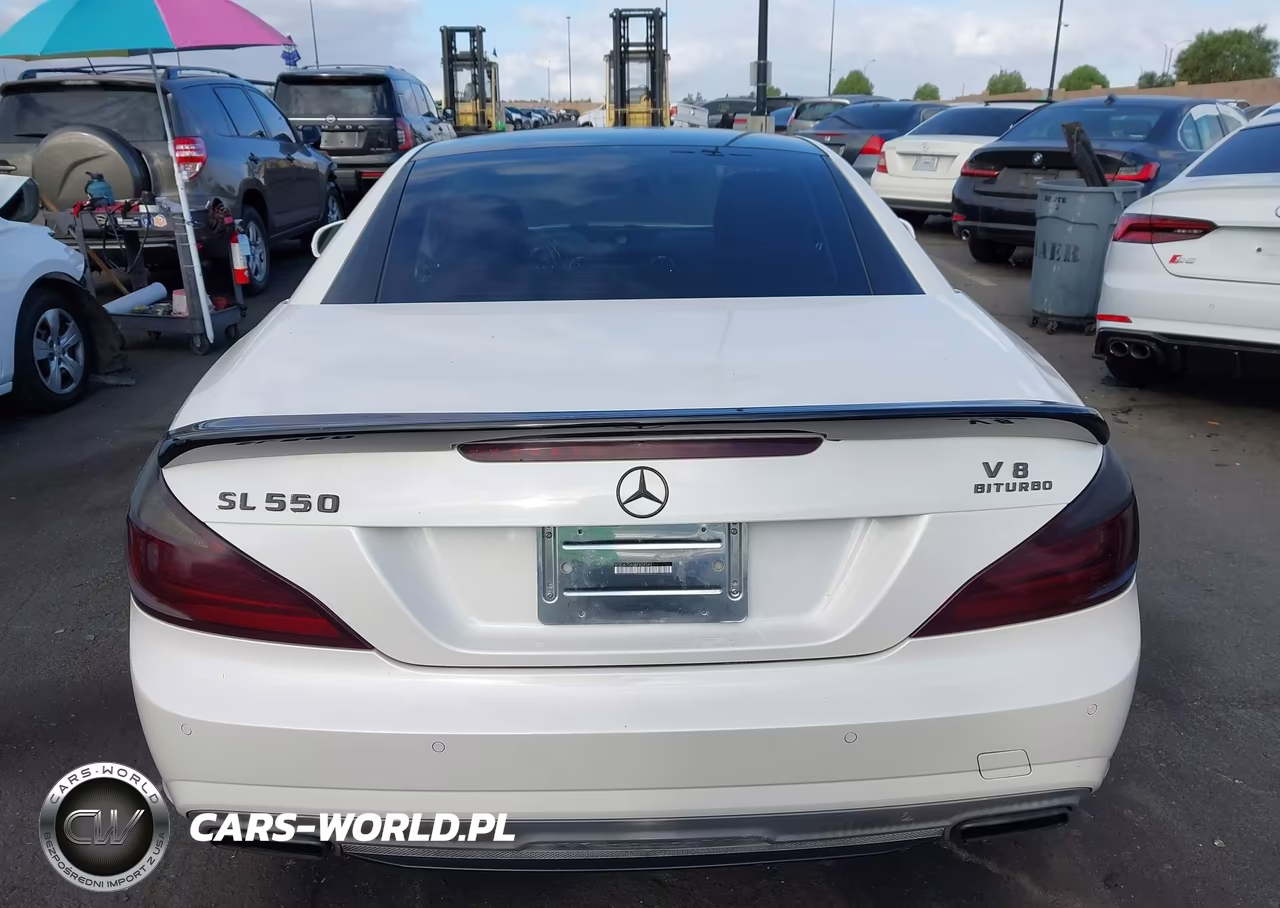 2014 Mercedes-Benz Sl 550 VIN:WDDJK7DA0EF024545 - 17