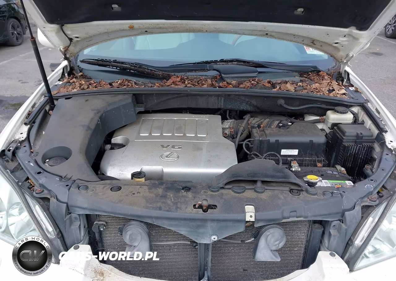2009 Lexus Rx 350 VIN:2T2HK31U09C110528 - 10