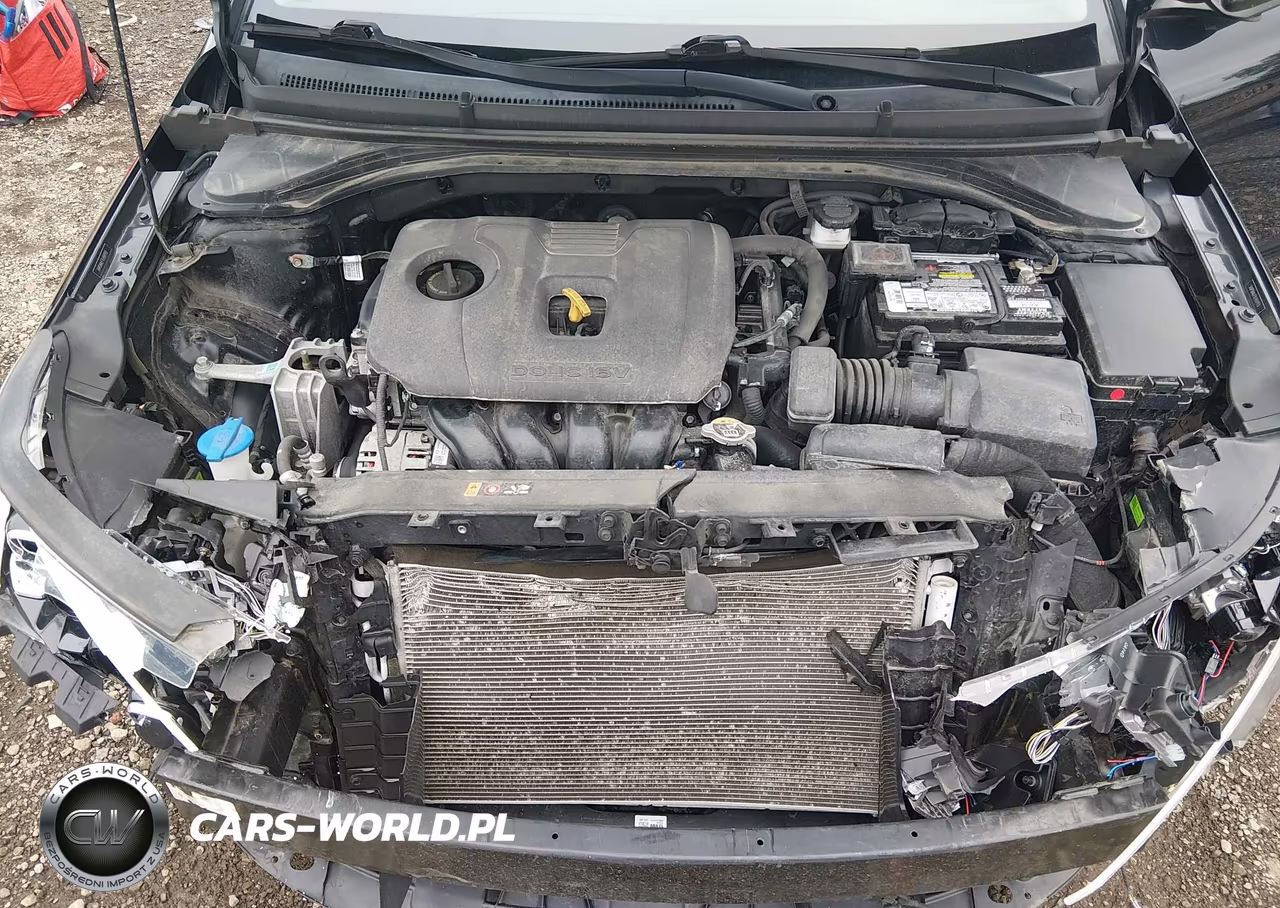 2020 Hyundai Elantra Limited VIN:5NPD84LF3LH597931 - 10